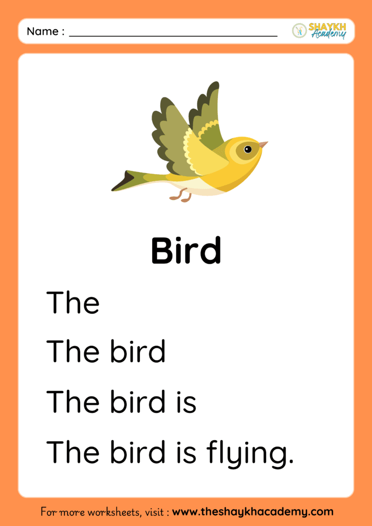 Bird