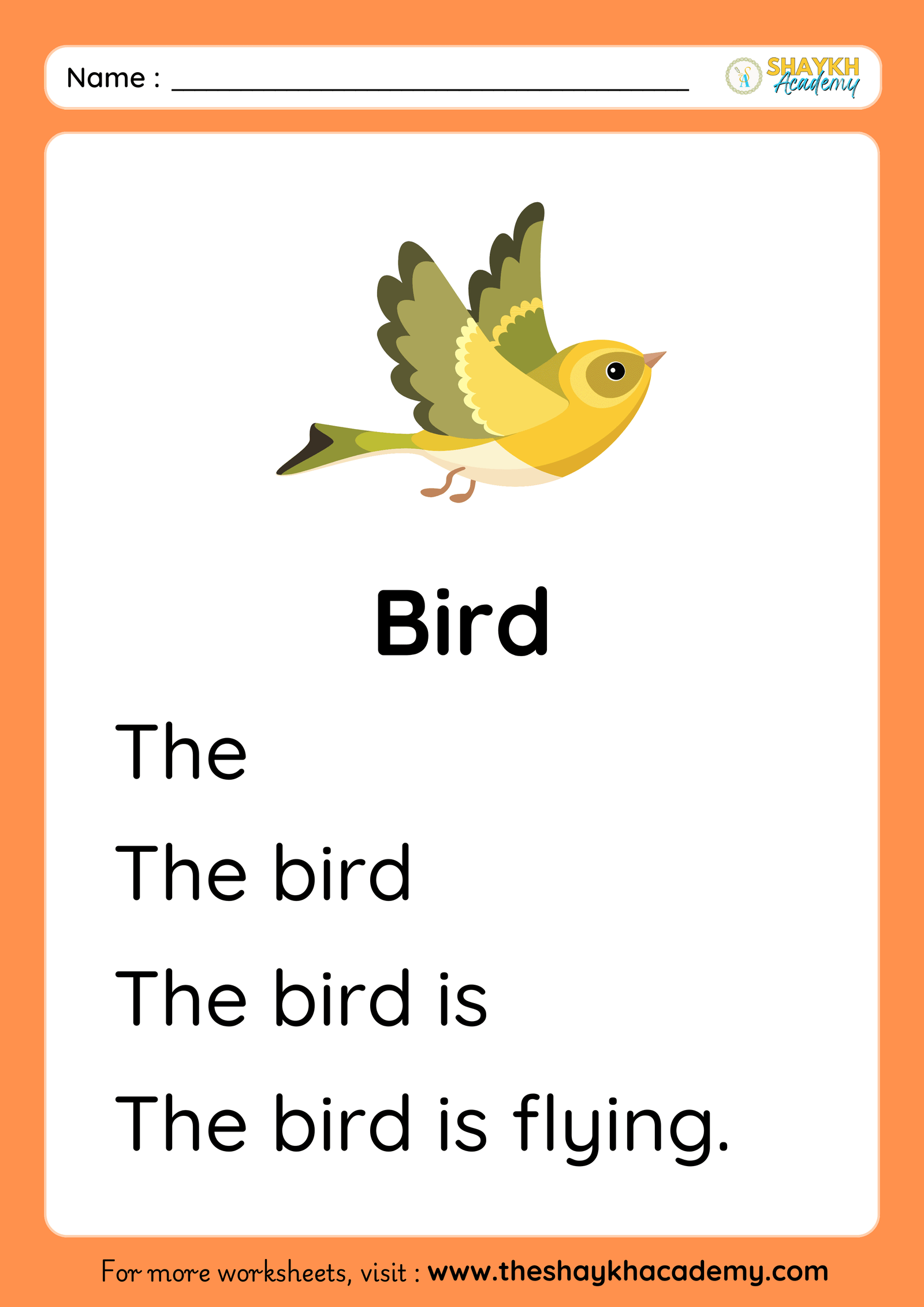 Bird