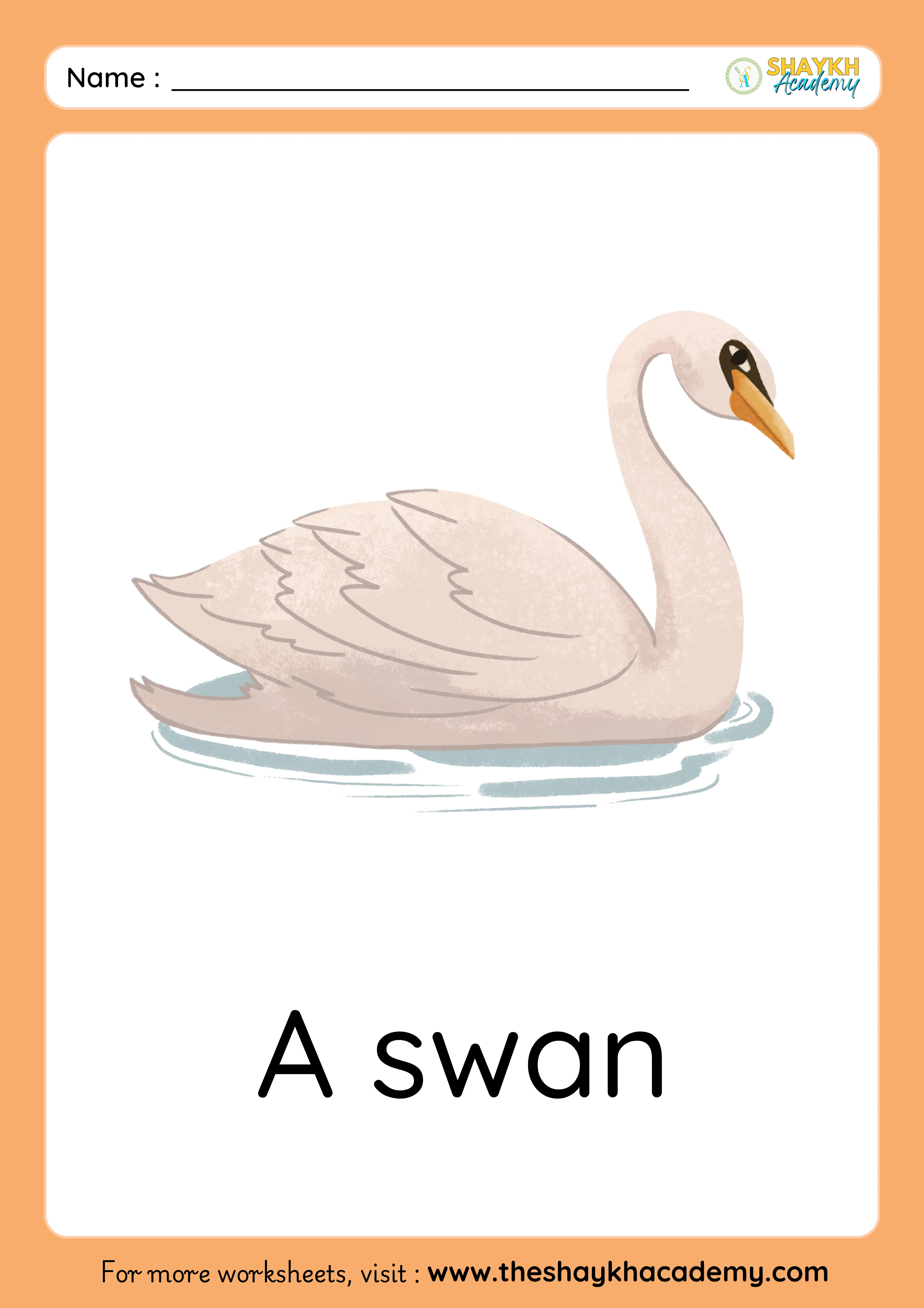swan