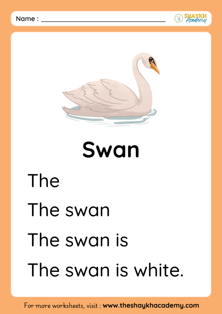 Swan