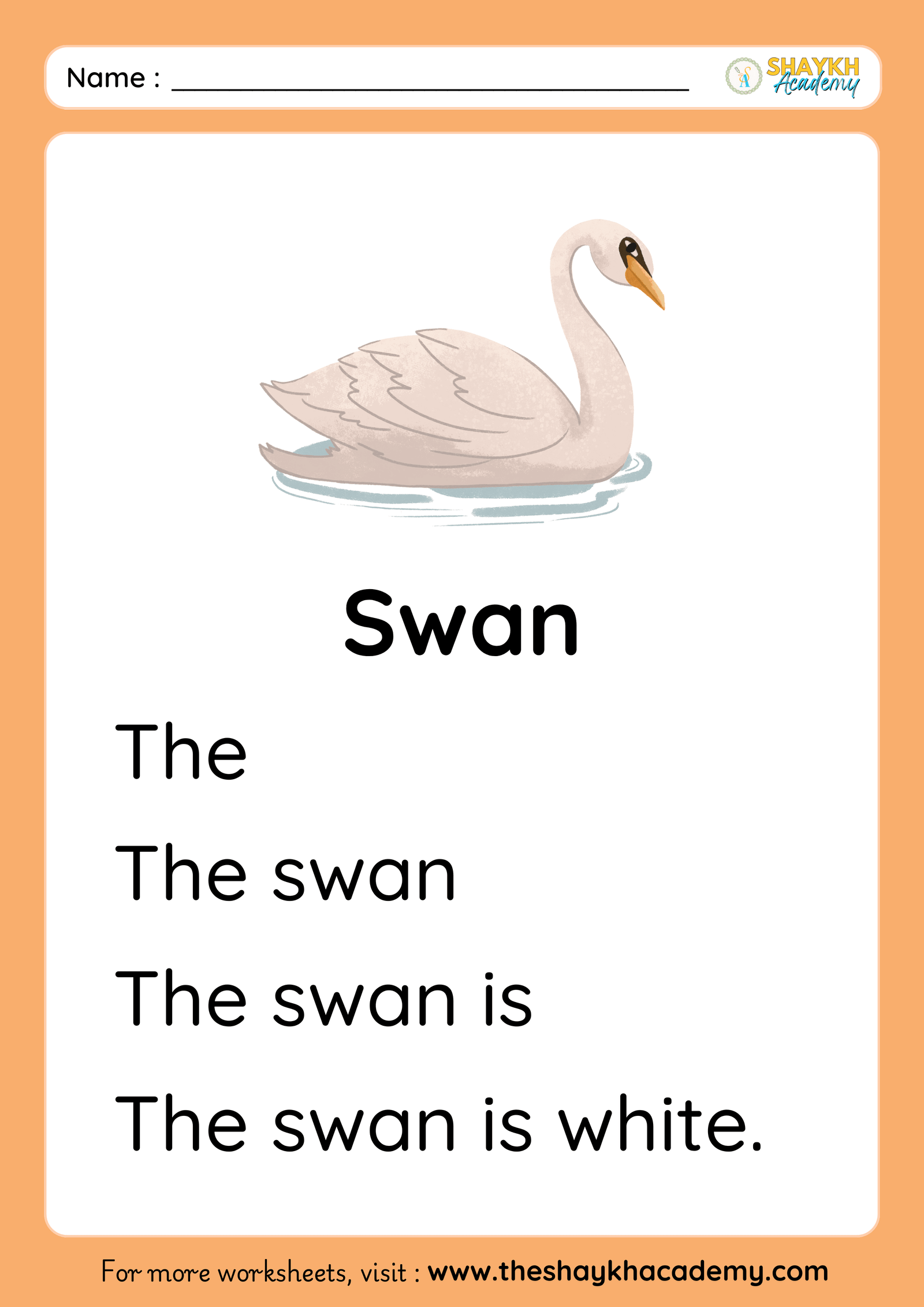 Swan