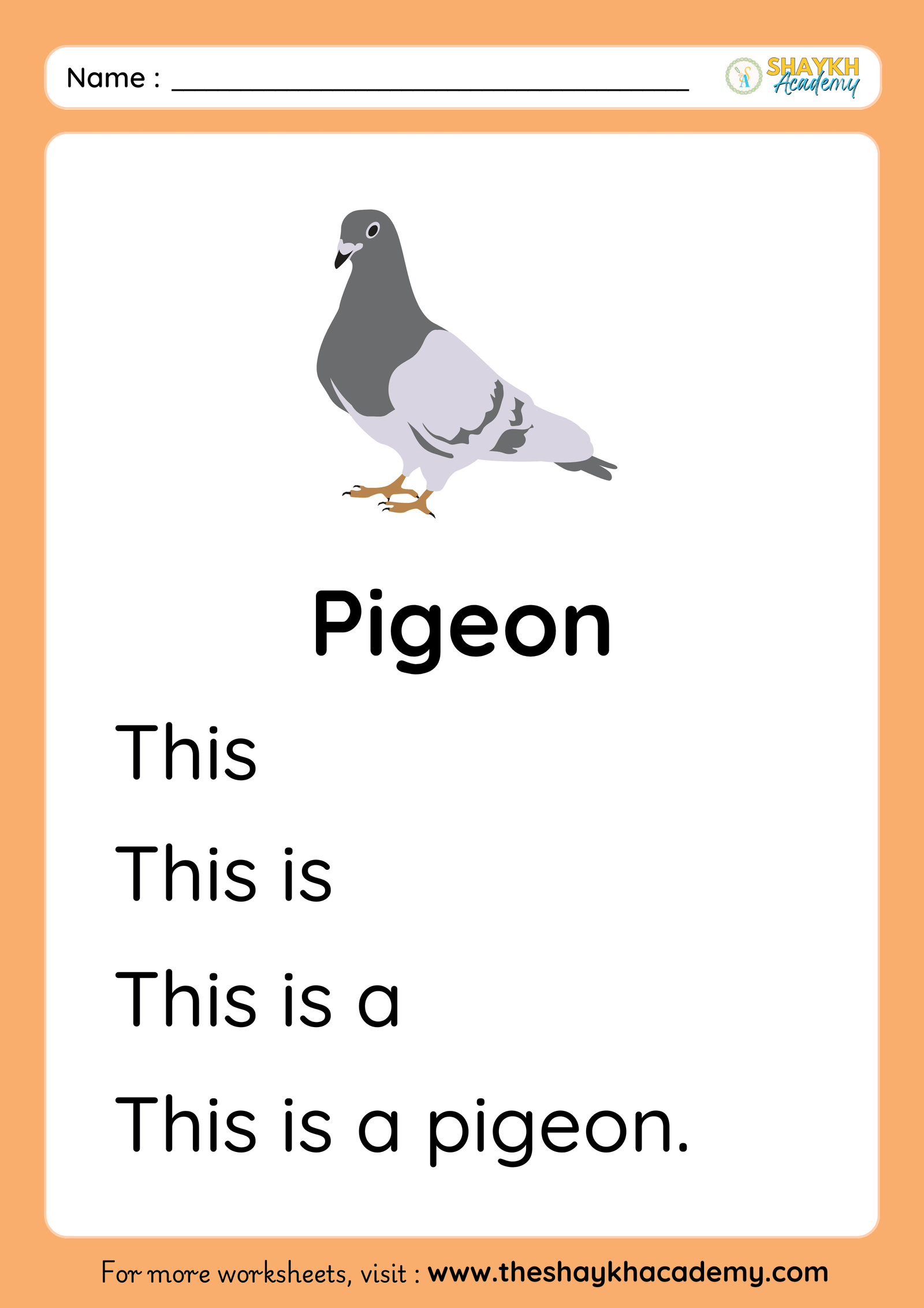 Pigeon