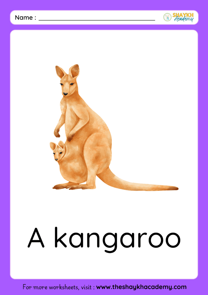 kangaroo