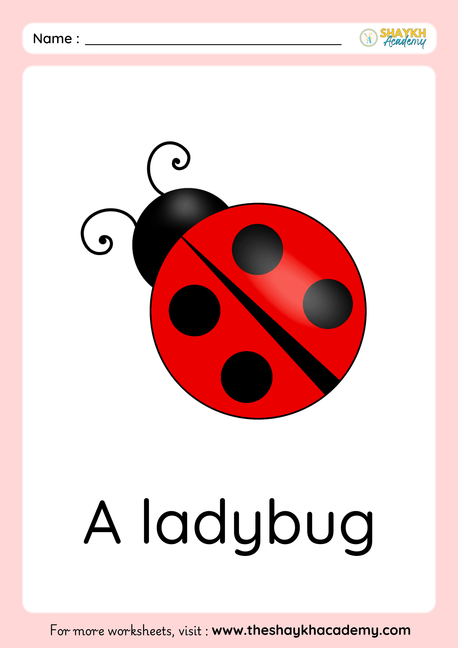 ladybug