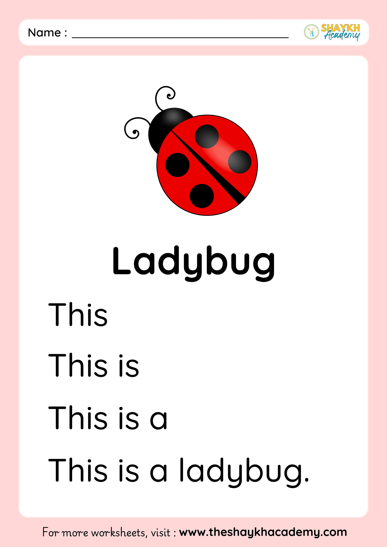 Ladybug