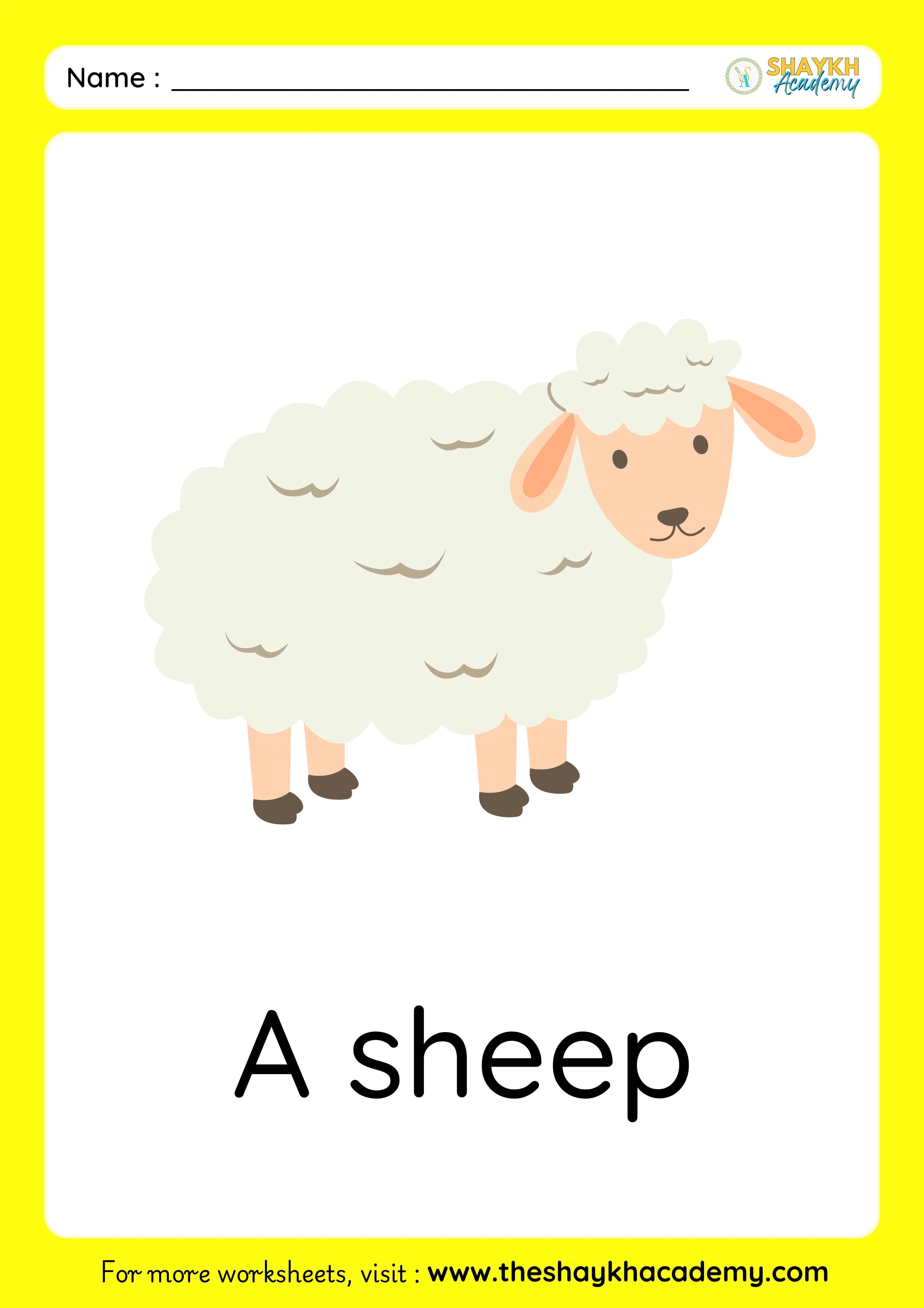 sheep