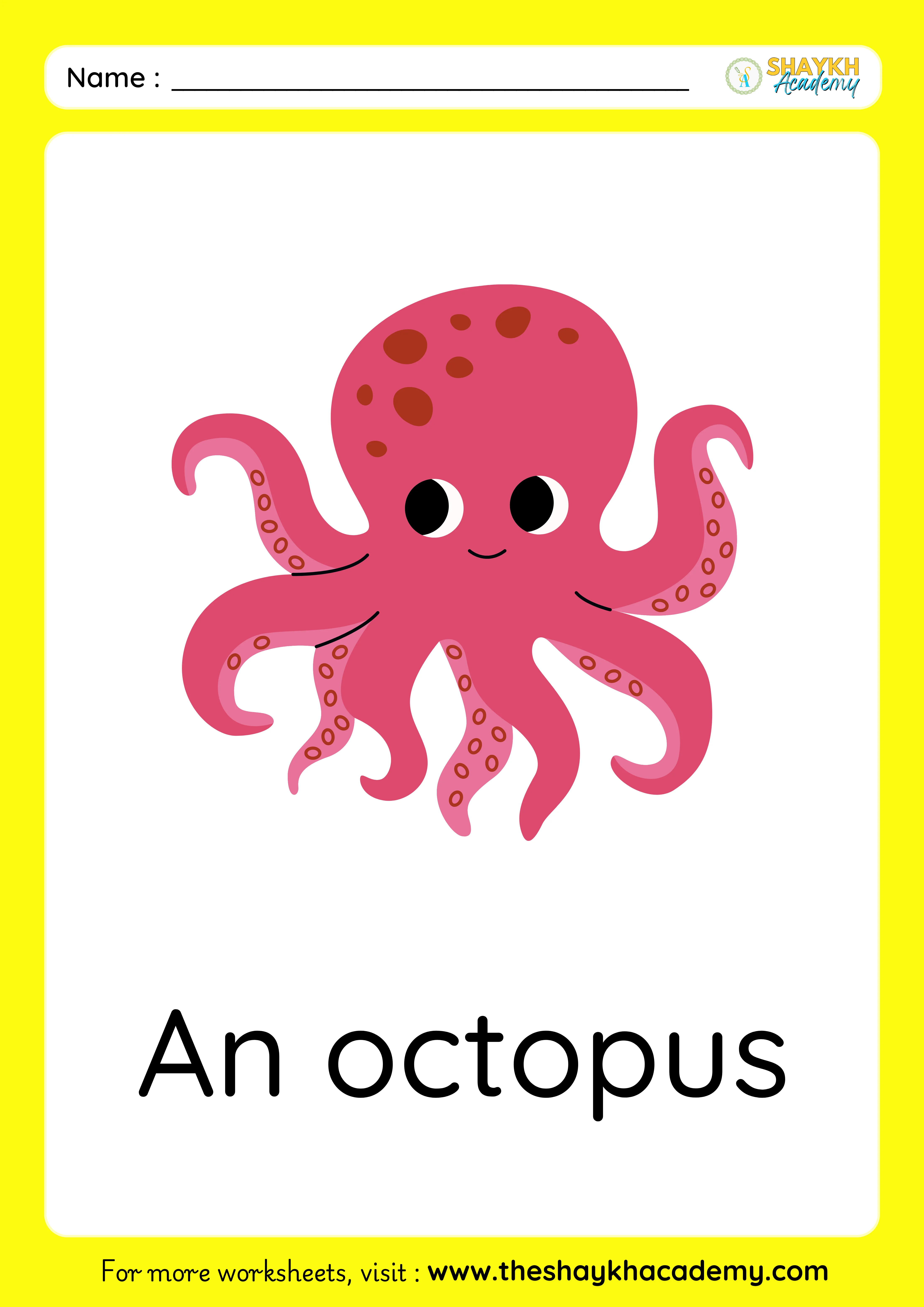 octopus