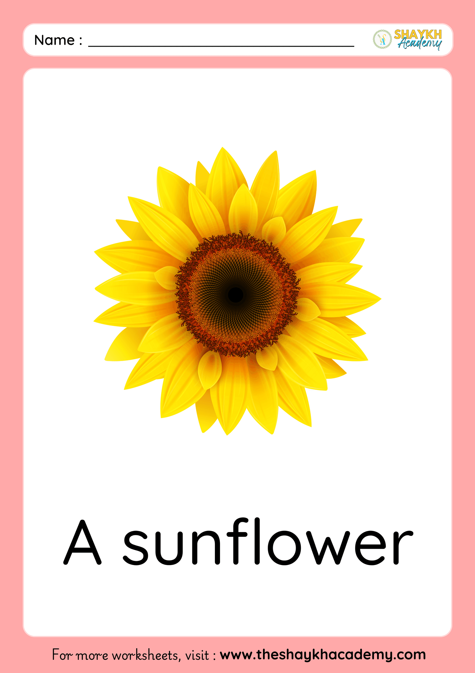 sunflower