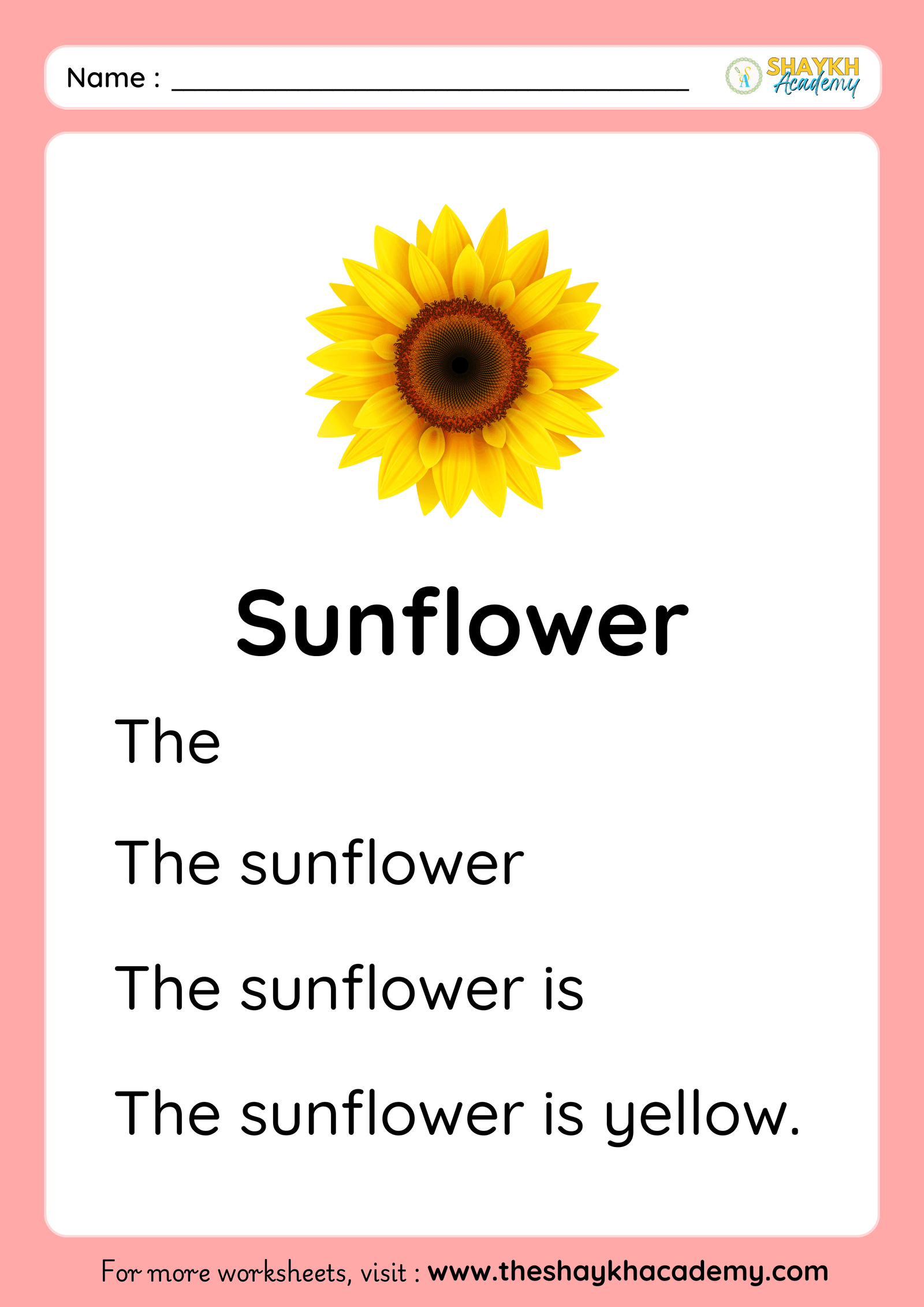 Sunflower