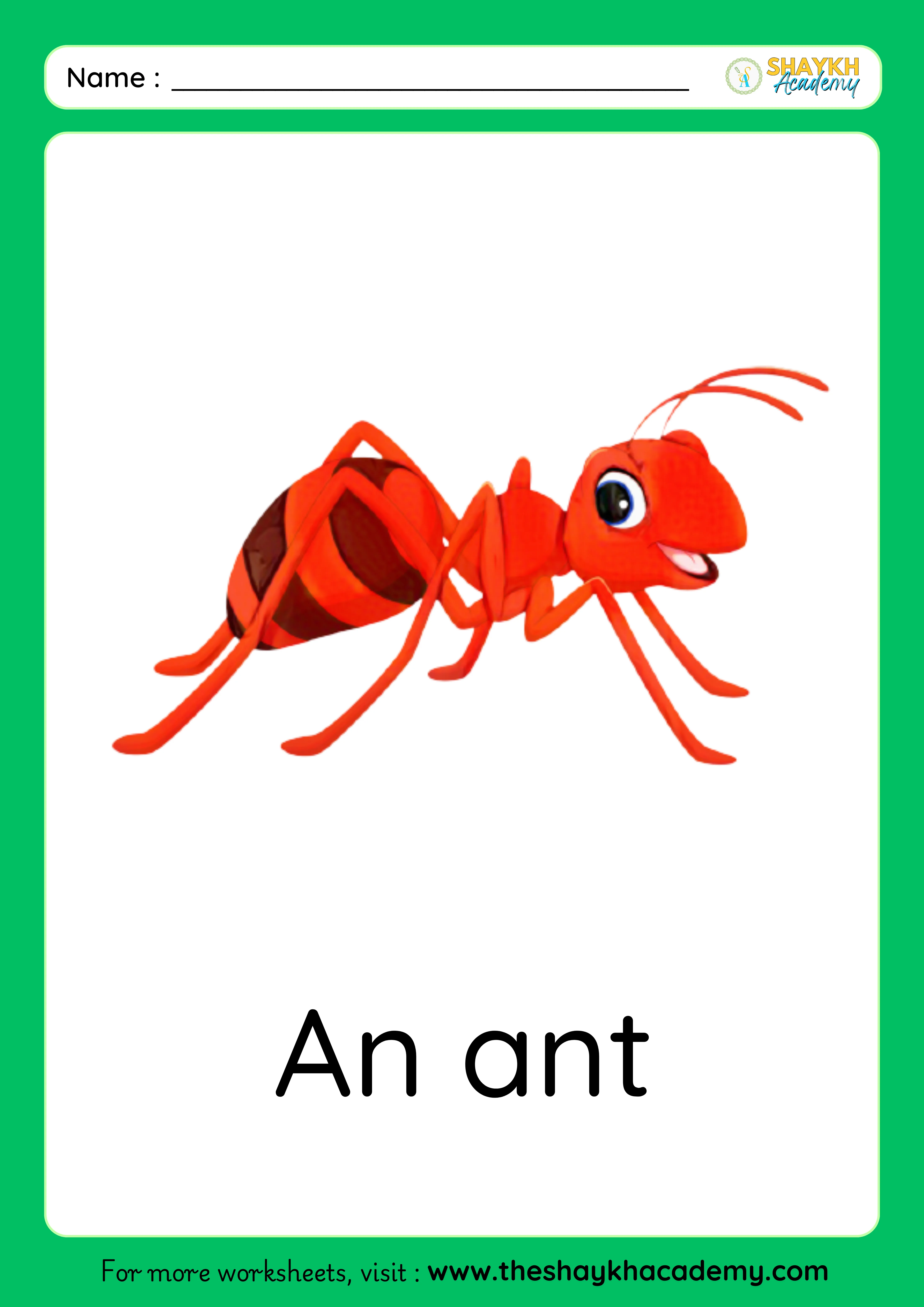 ant