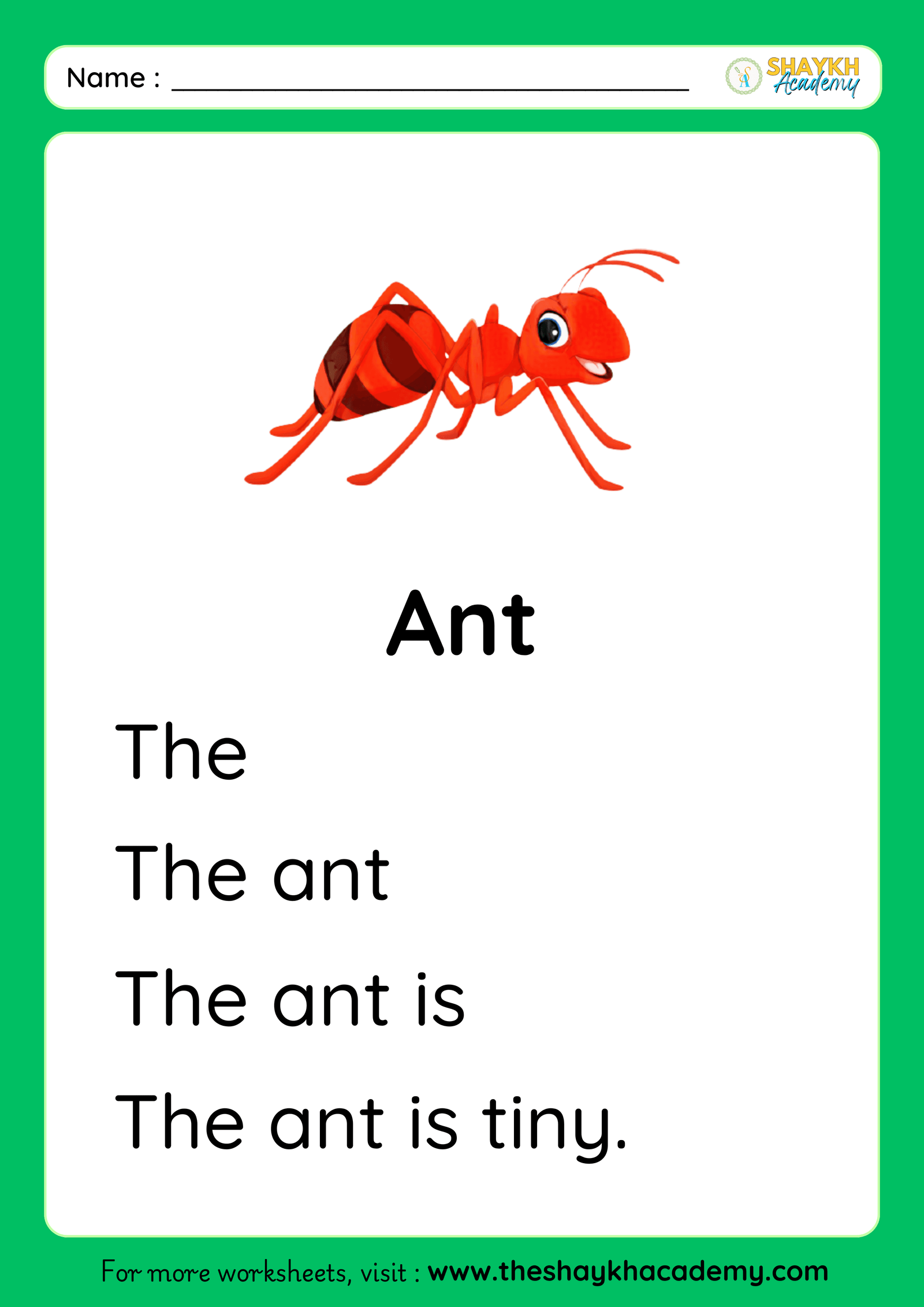 Ant