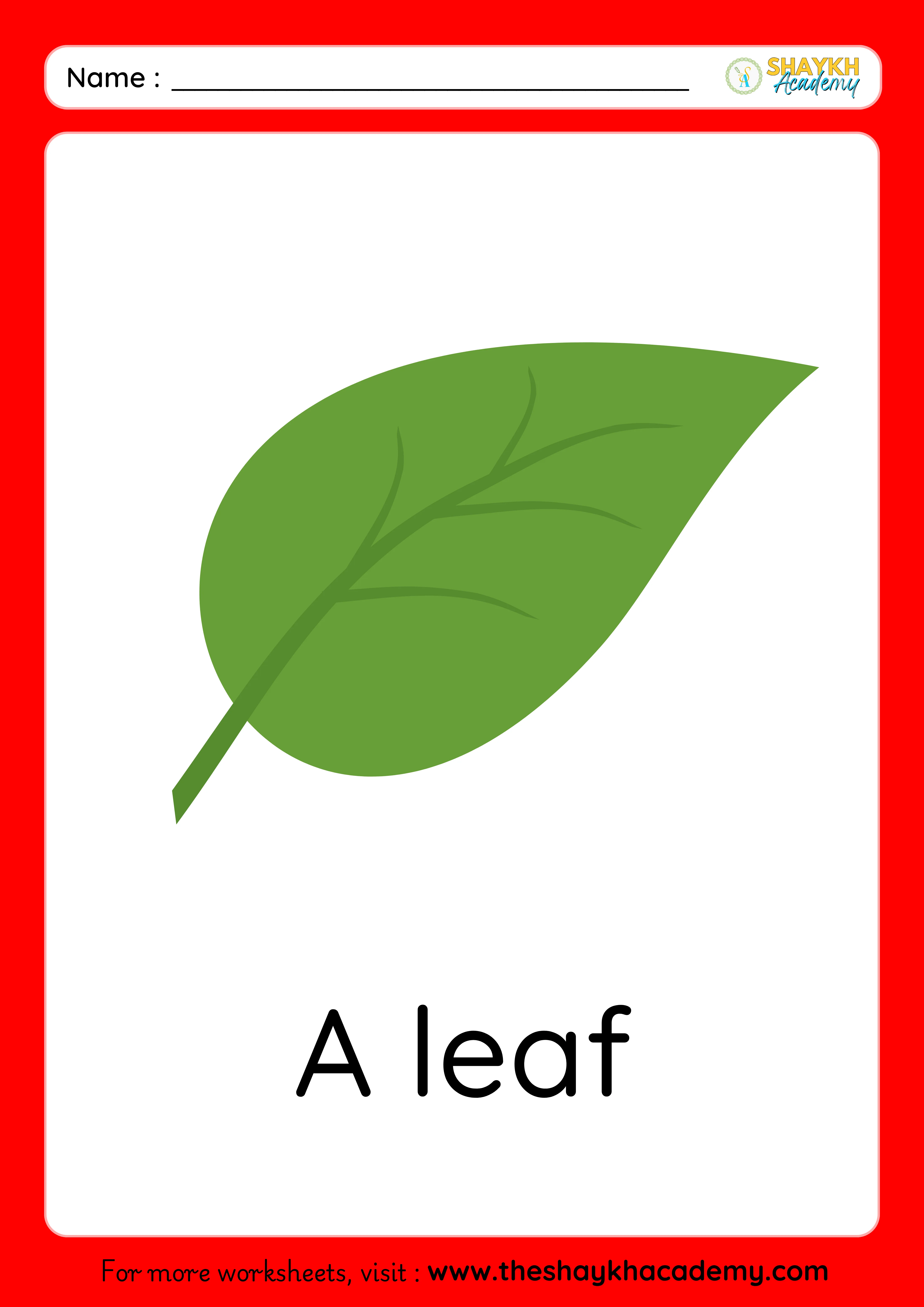 leaf