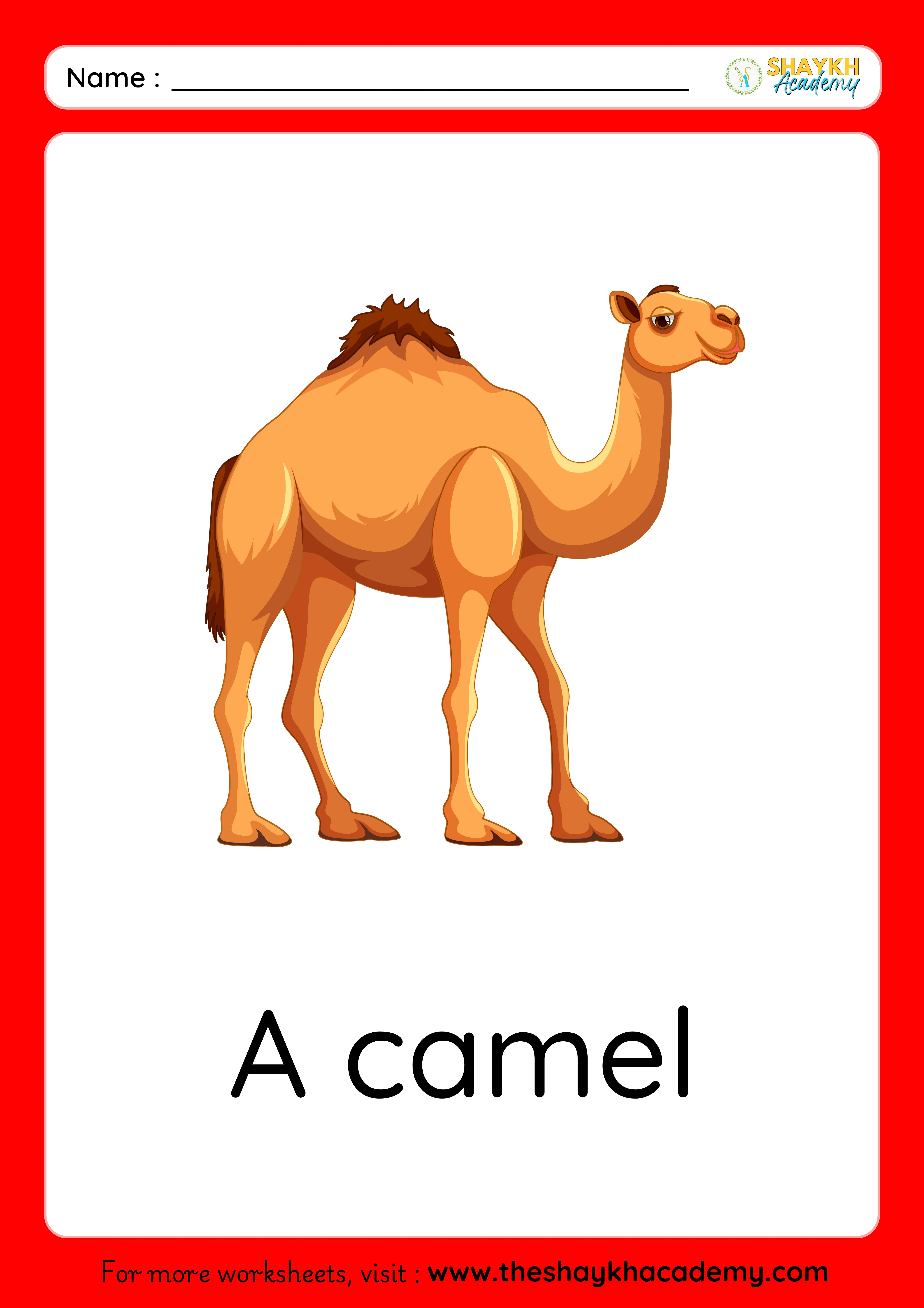 camel