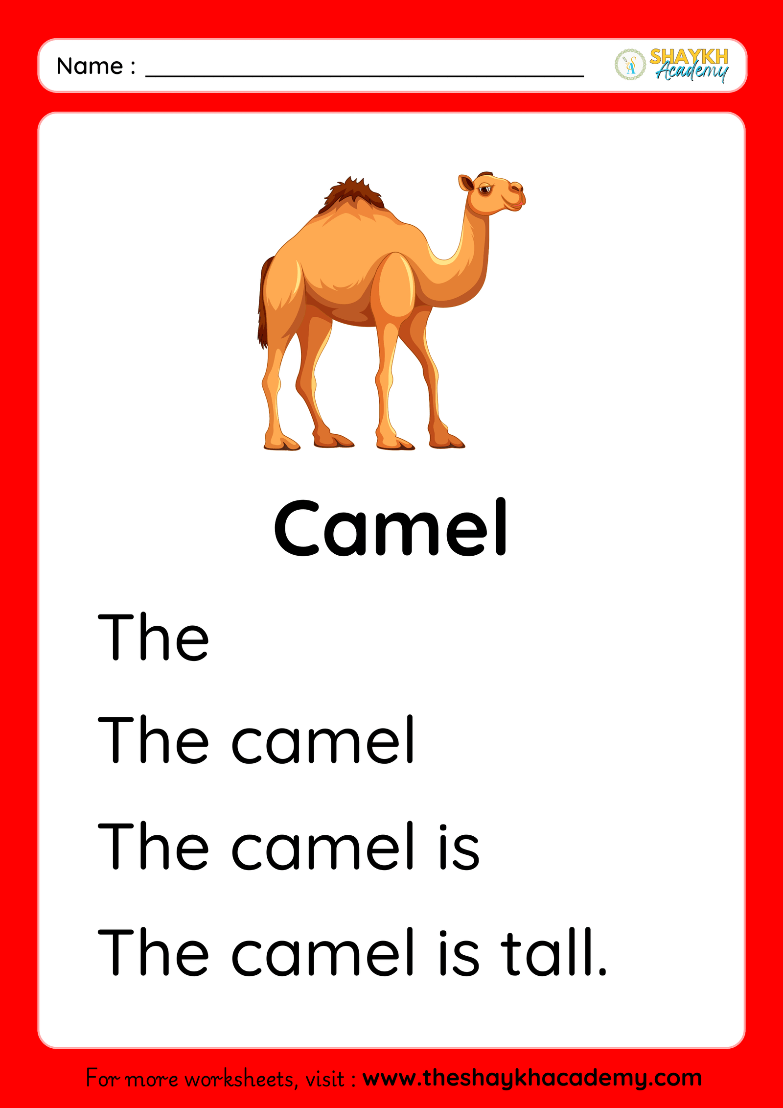 Camel