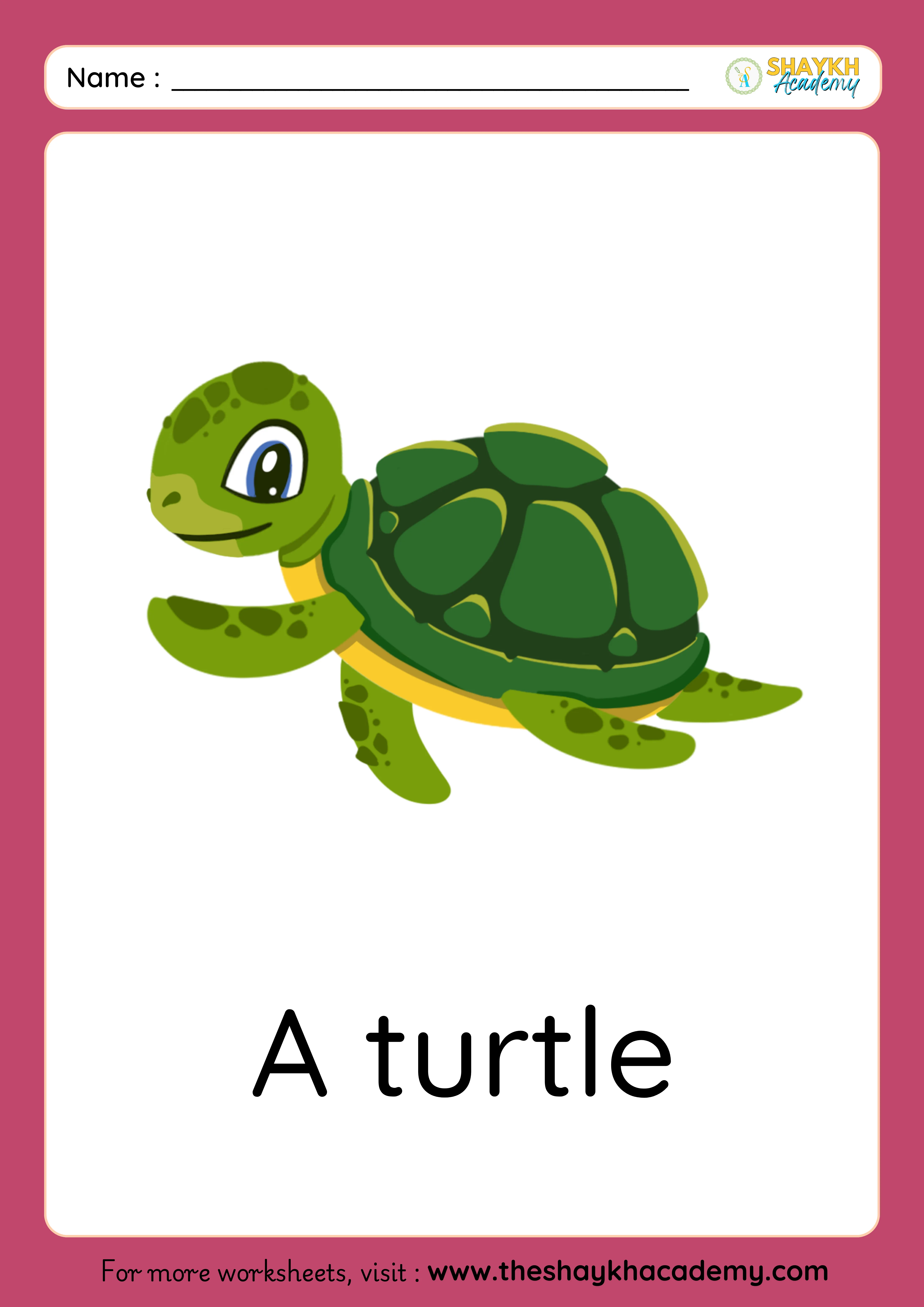 turtle