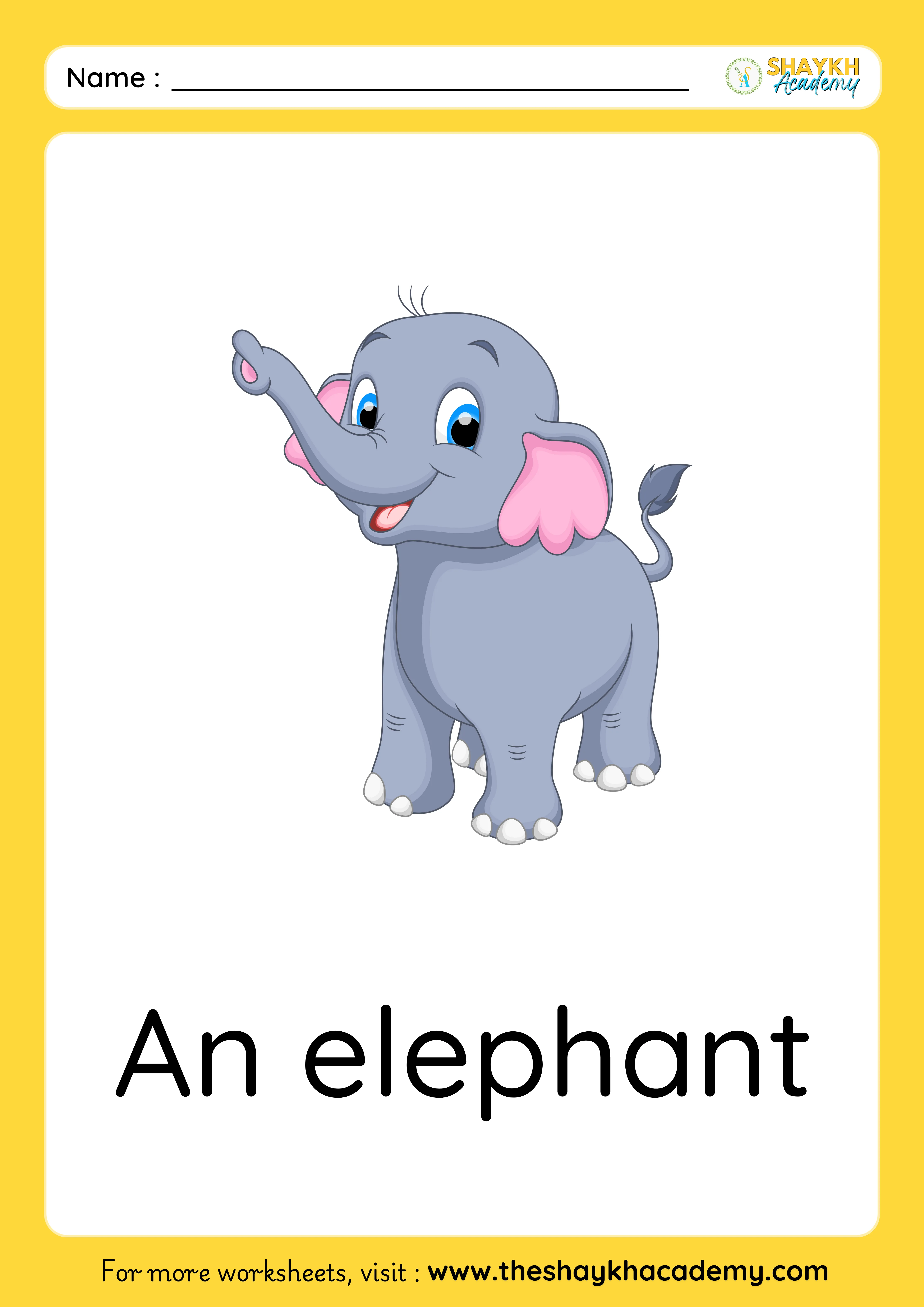 elephant