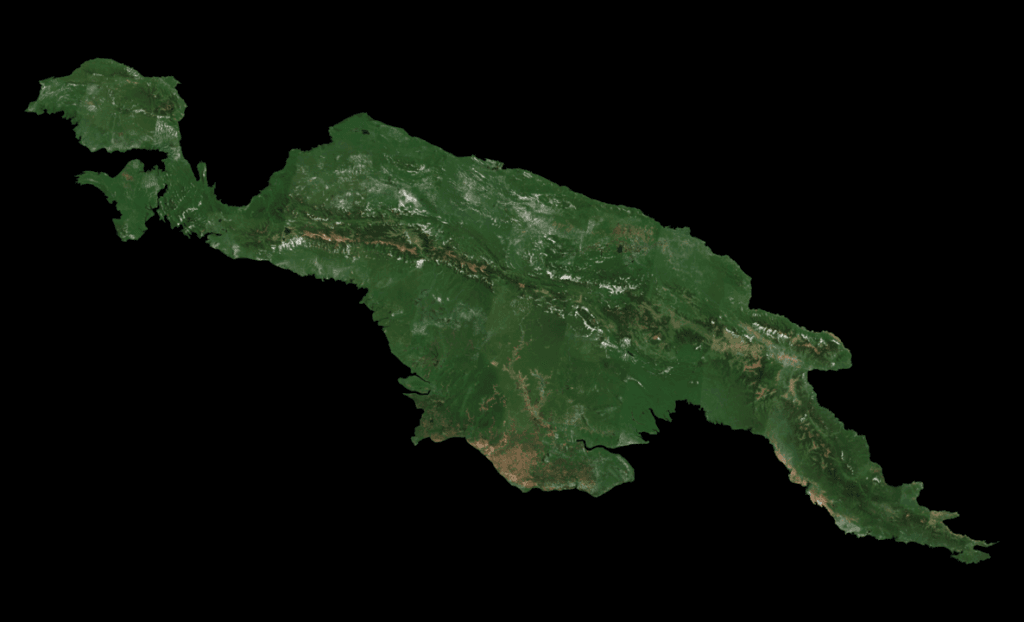 New Guinea