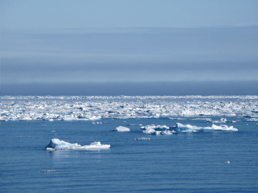 Arctic Ocean