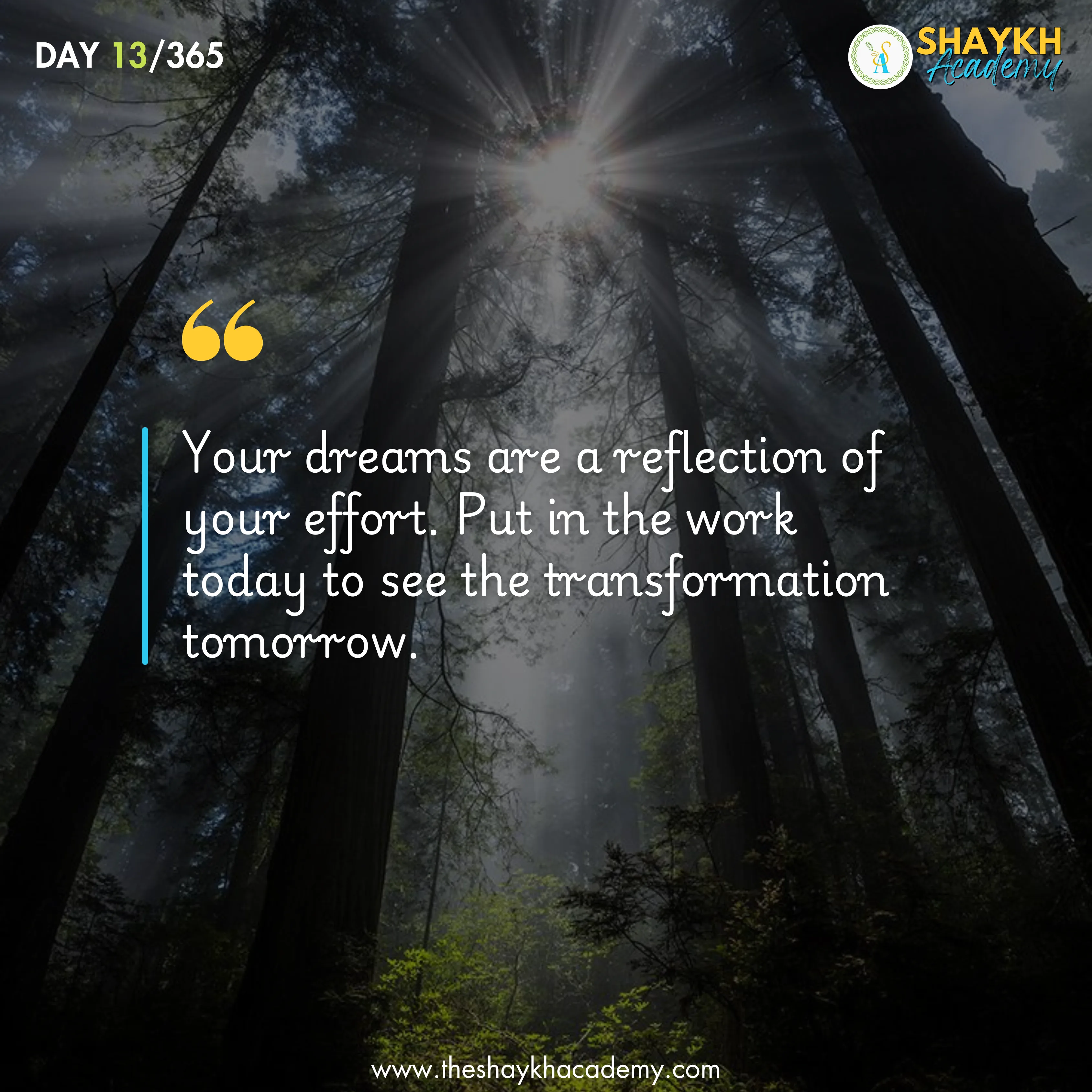 Your dreams are a reflection of your effort. Put in the work today to see the transformation tomorrow.