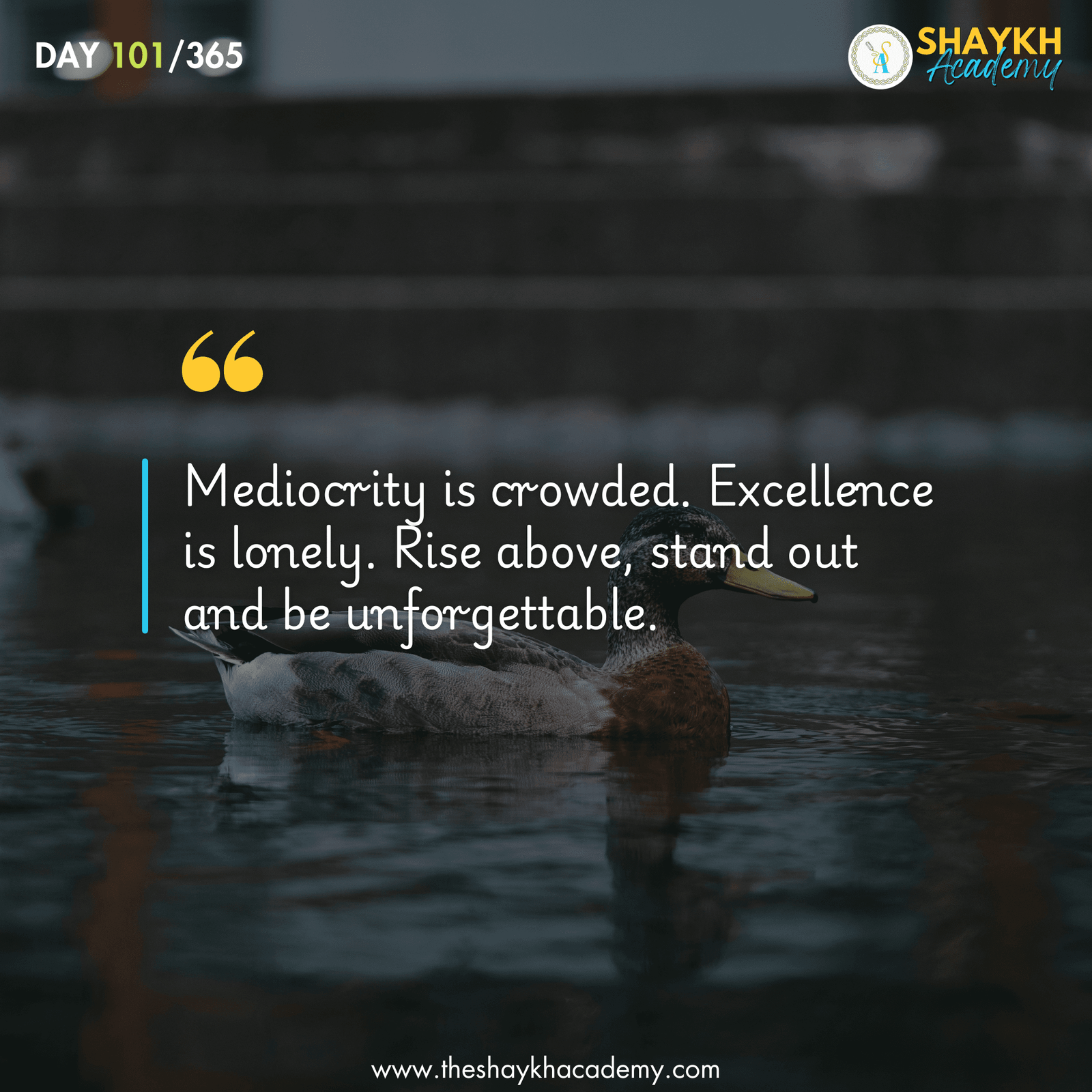 Mediocrity is crowded. Excellence is lonely. Rise above, stand out and be unforgettable.