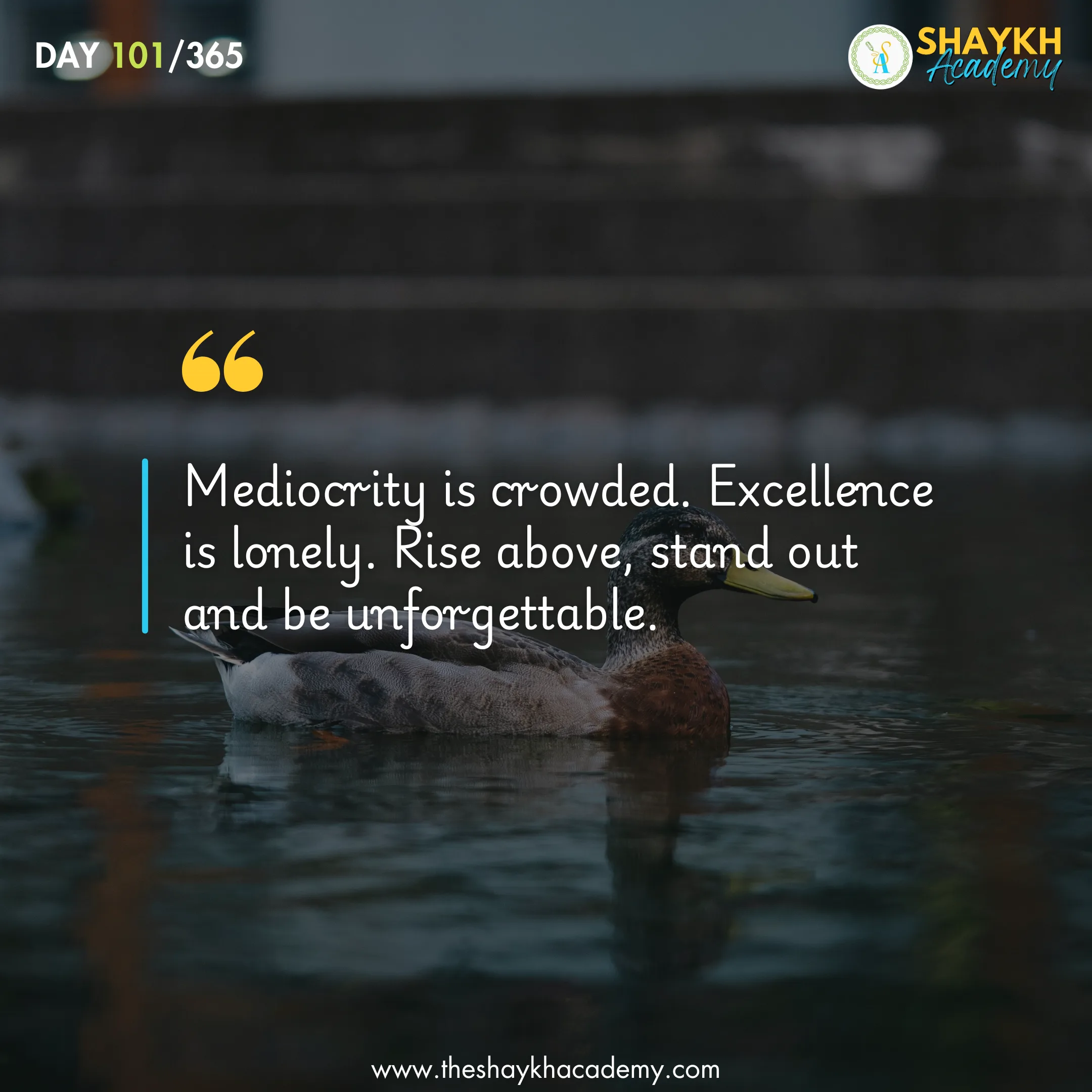 Mediocrity is crowded. Excellence is lonely. Rise above, stand out and be unforgettable.