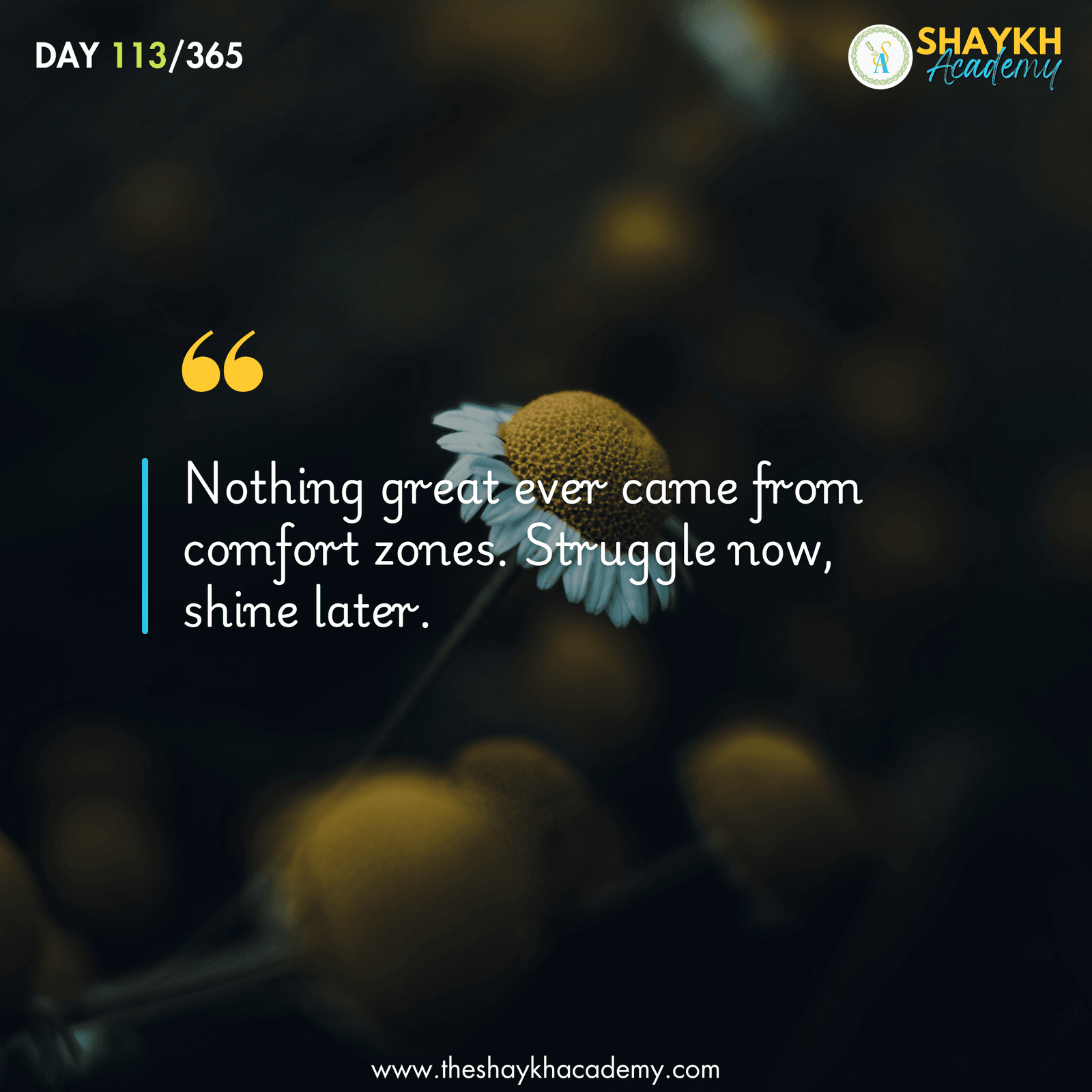 Nothing great ever came from comfort zones. Struggle now, shine later.