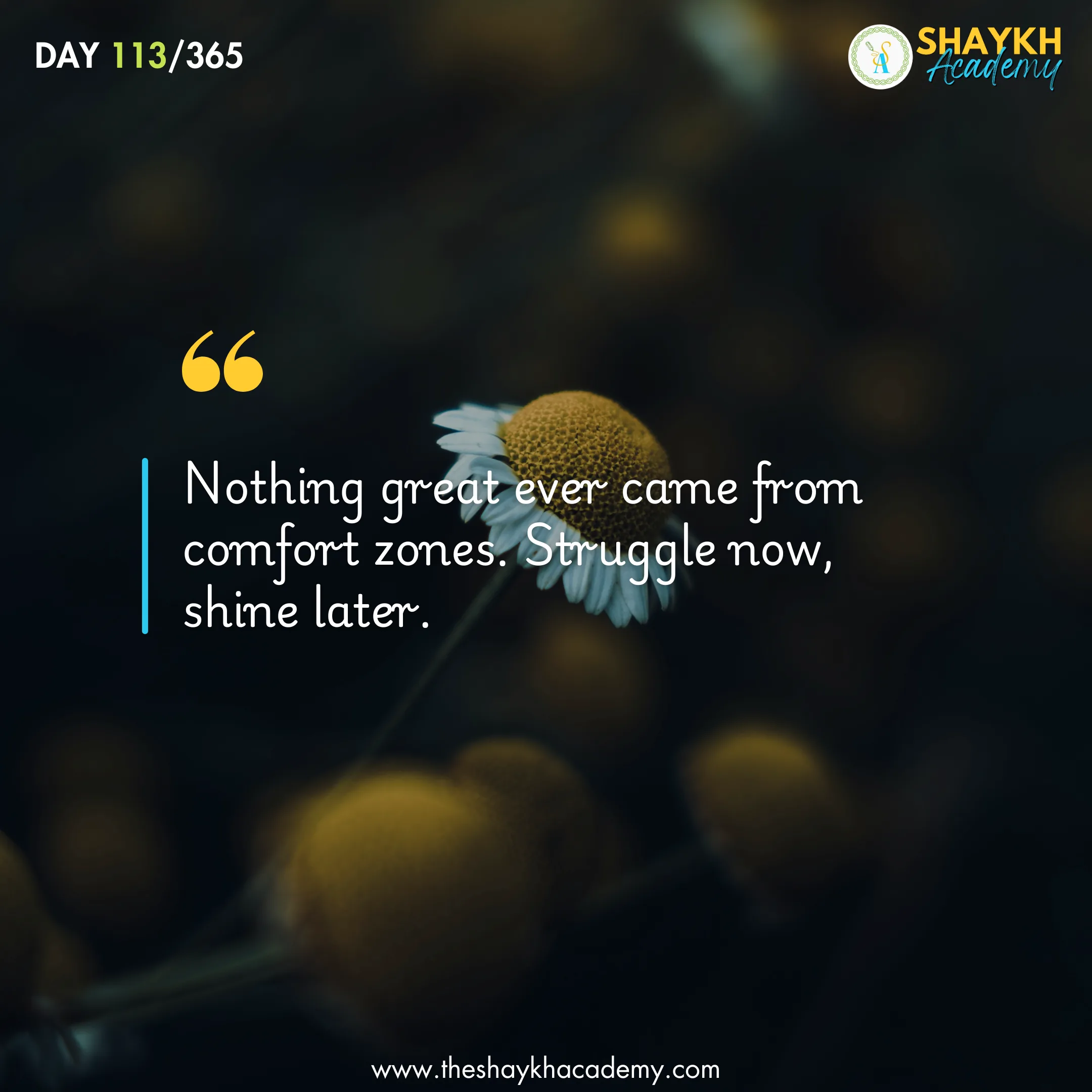 Nothing great ever came from comfort zones. Struggle now, shine later.