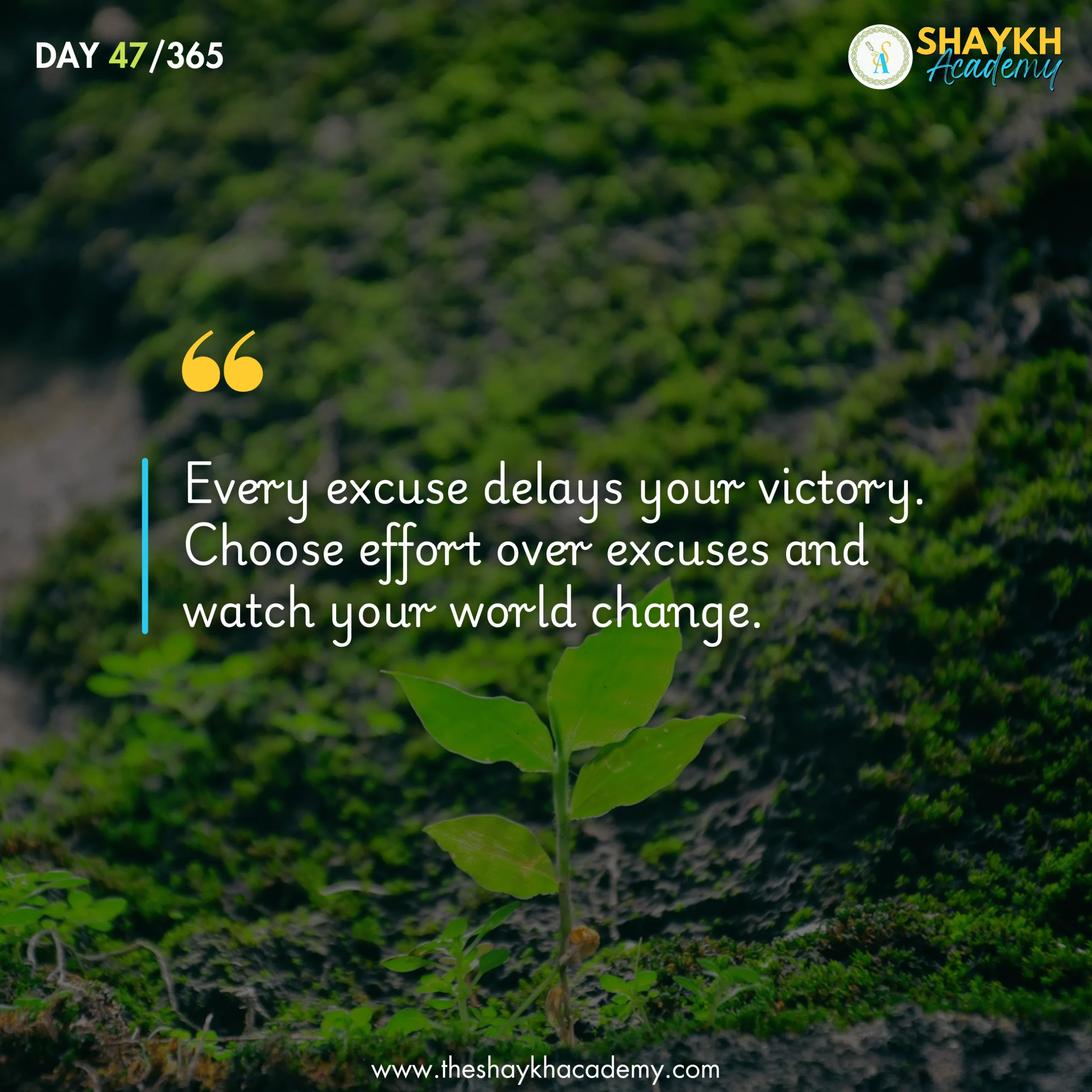 Every excuse delays your victory. Choose effort over excuses and watch your world change.