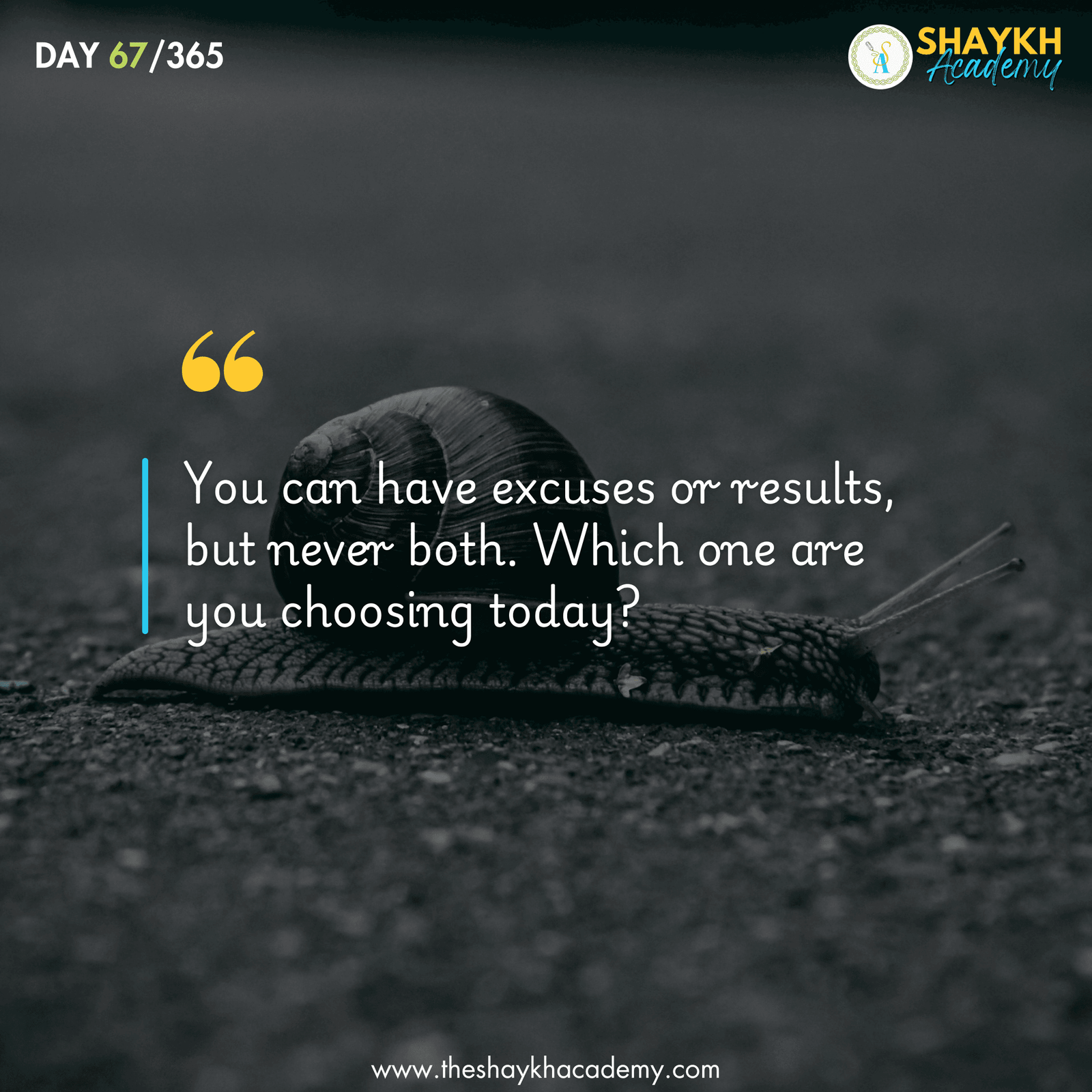 You can have excuses or results, but never both. Which one are you choosing today?