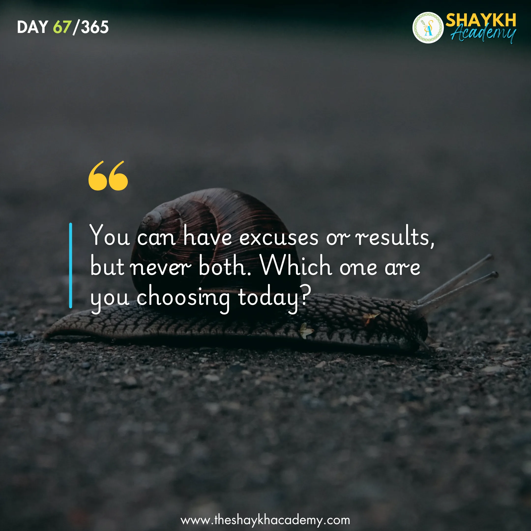 You can have excuses or results, but never both. Which one are you choosing today?
