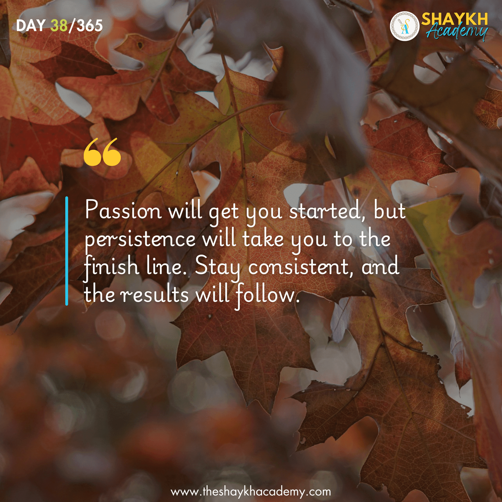 Passion will get you started, but persistence will take you to the finish line. Stay consistent, and the results will follow.