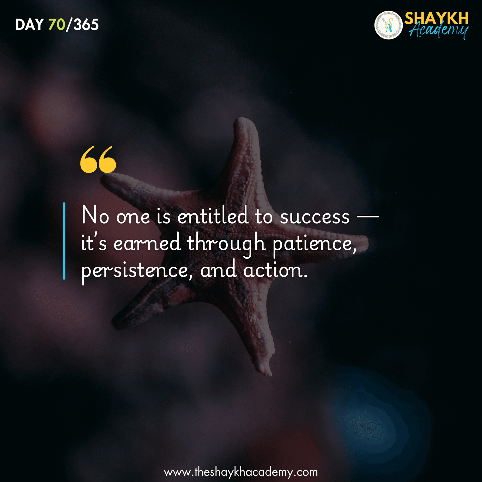 No one is entitled to success — it’s earned through patience, persistence, and action.