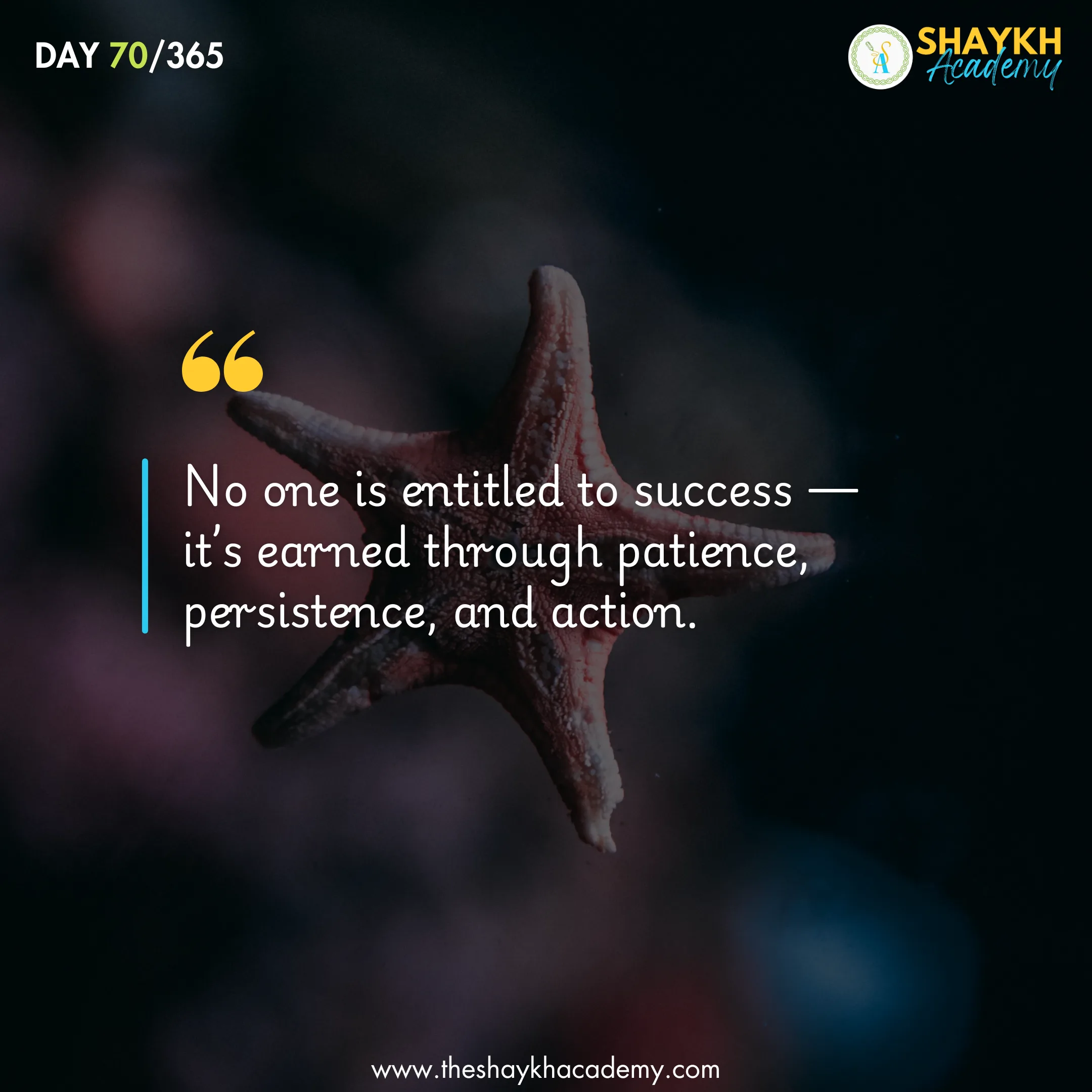 No one is entitled to success — it’s earned through patience, persistence, and action.