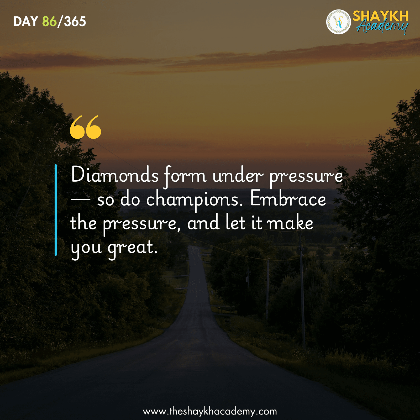 Diamonds form under pressure— so do champions. Embrace the pressure, and let it make you great.