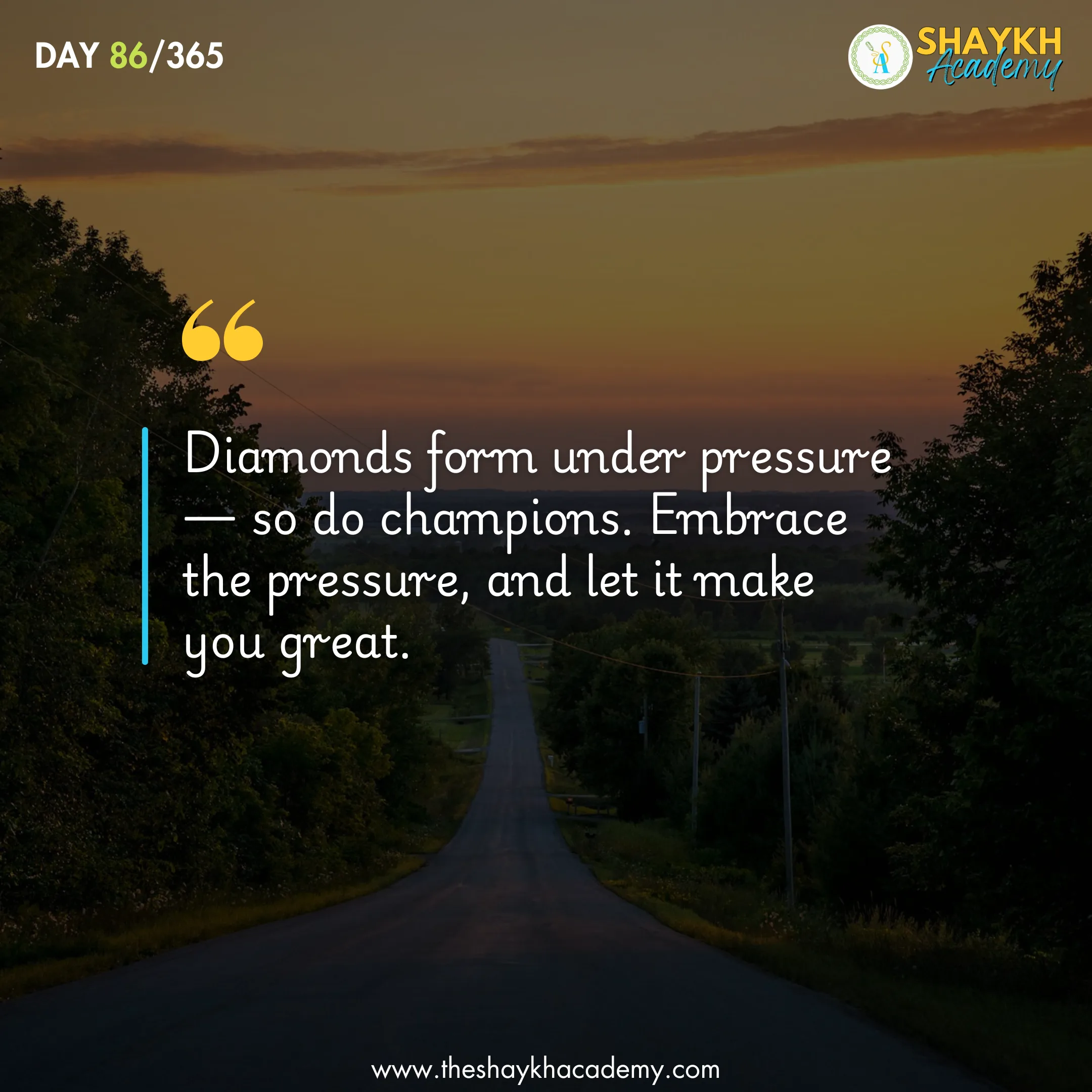 Diamonds form under pressure— so do champions. Embrace the pressure, and let it make you great.