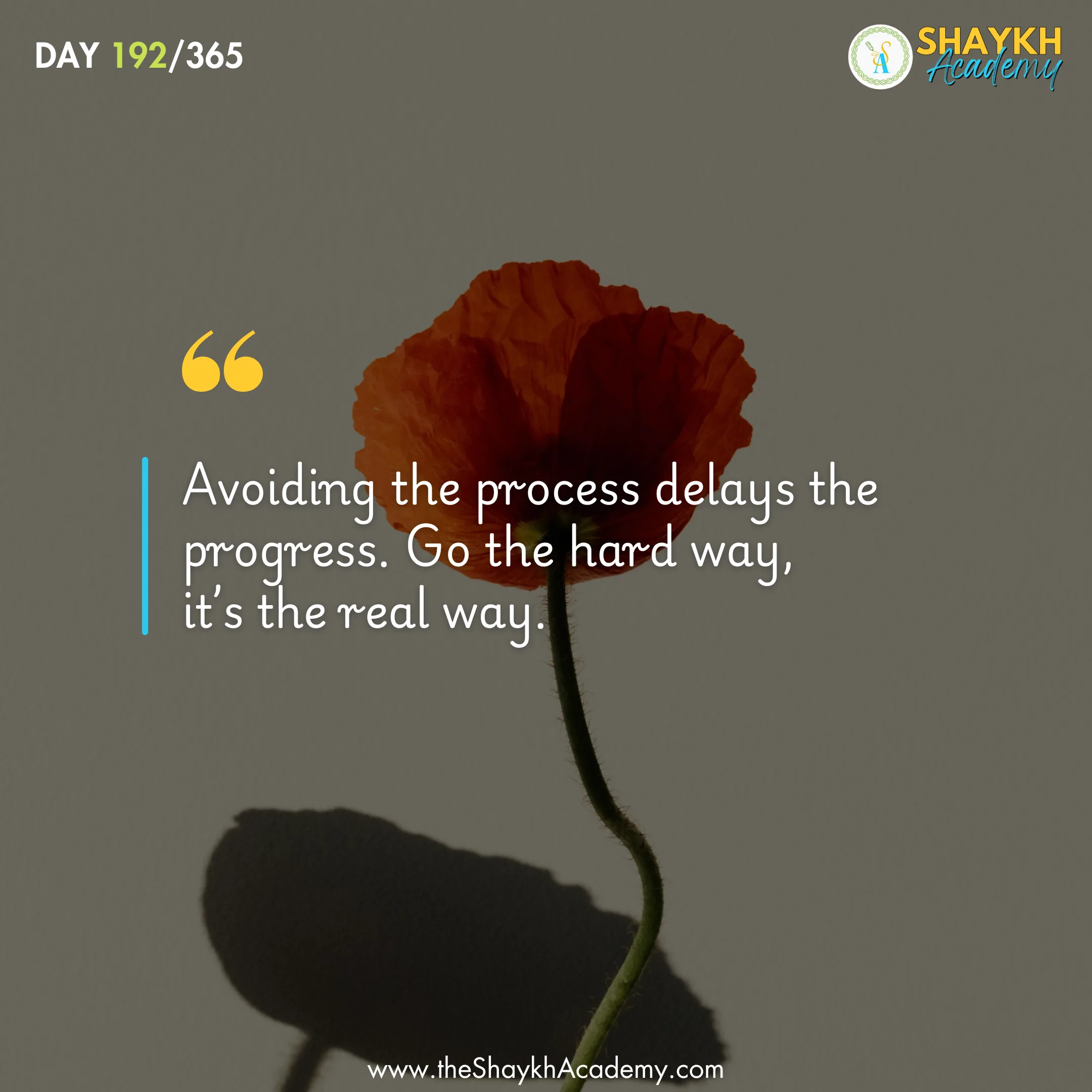 Avoiding the process delays the progress. Go the hard way, it’s the real way.