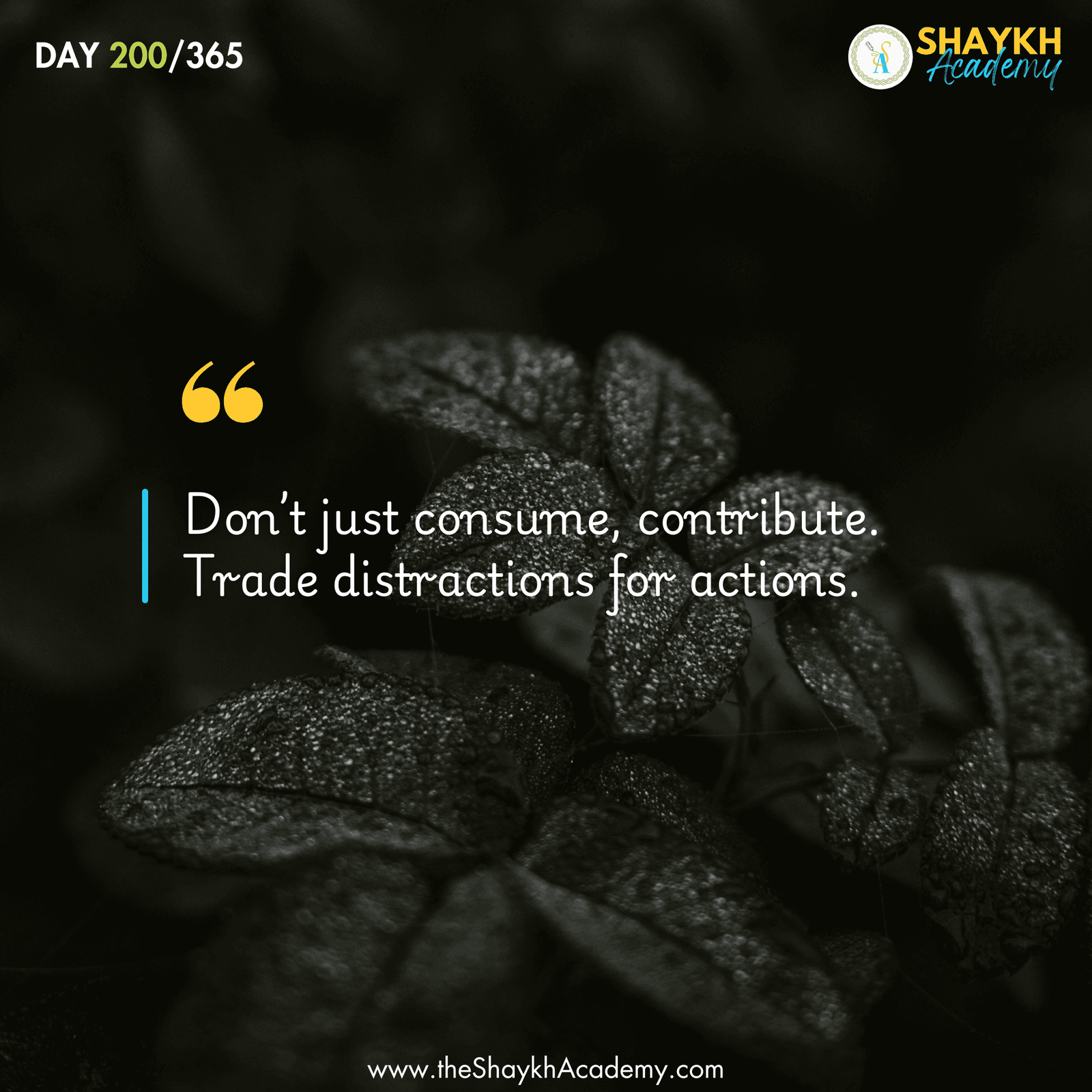 Don’t just consume—contribute. Trade distractions for actions.