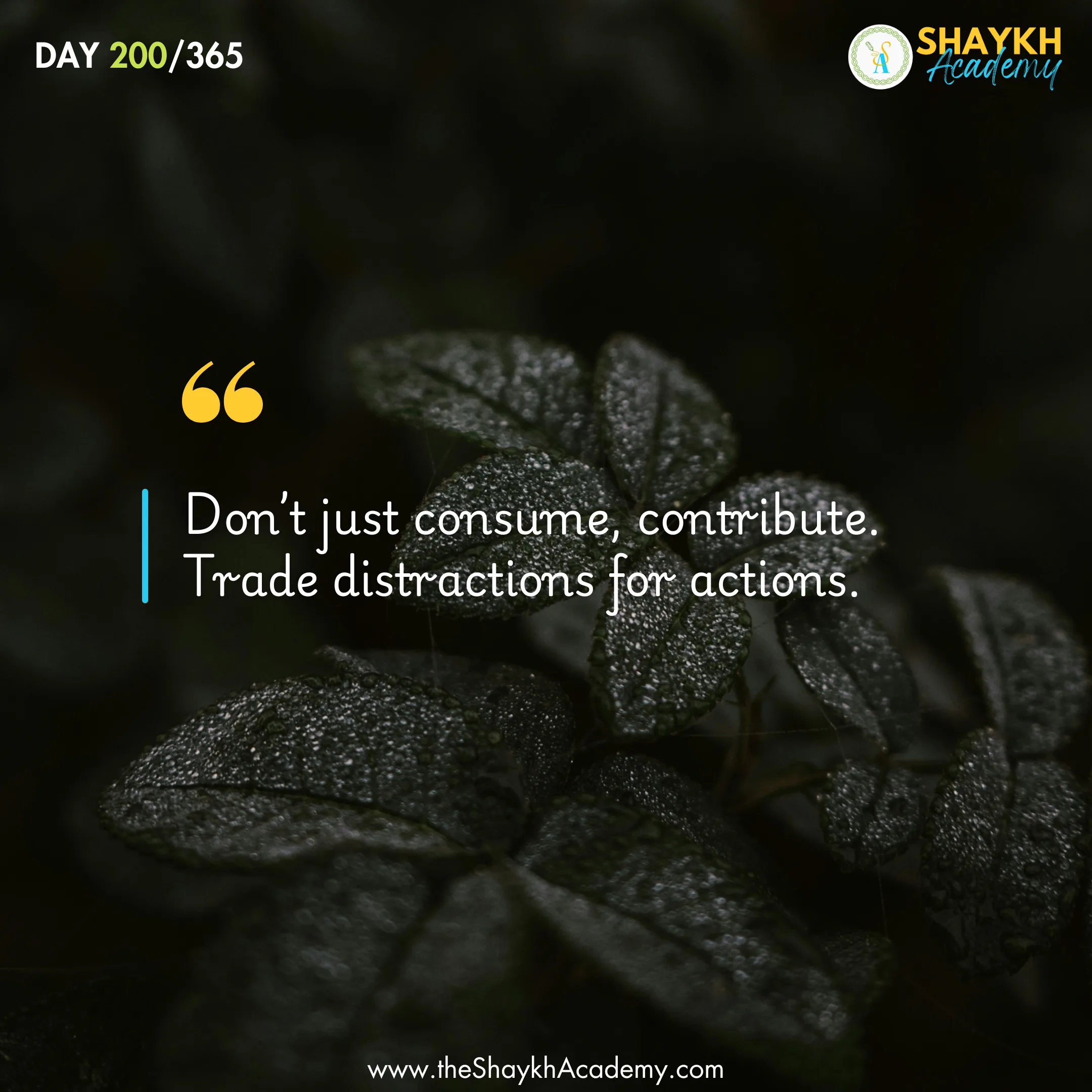 Don’t just consume—contribute. Trade distractions for actions.