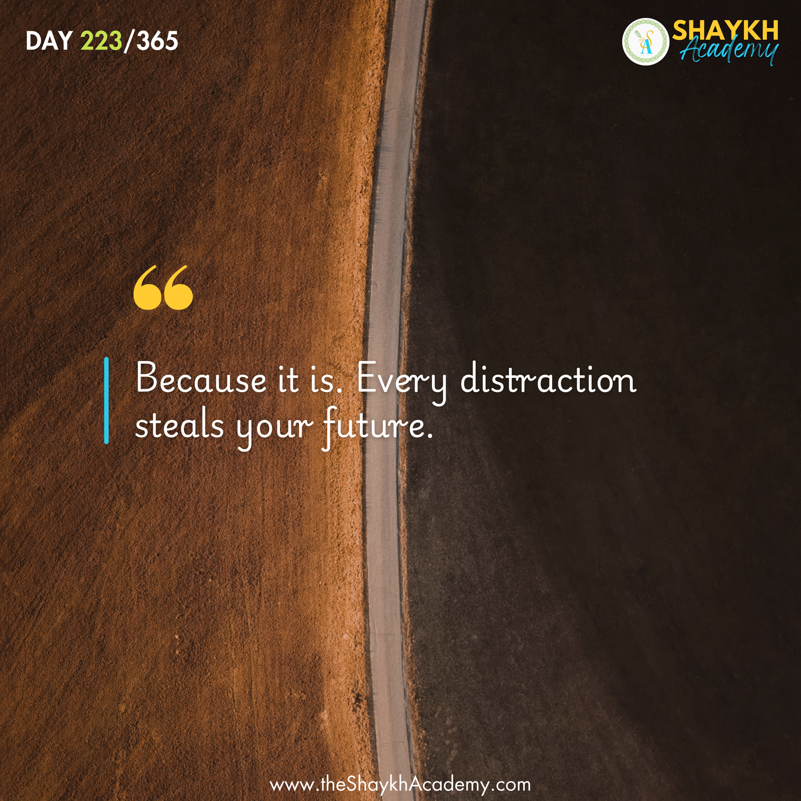 Because it is. Every distraction steals your future.