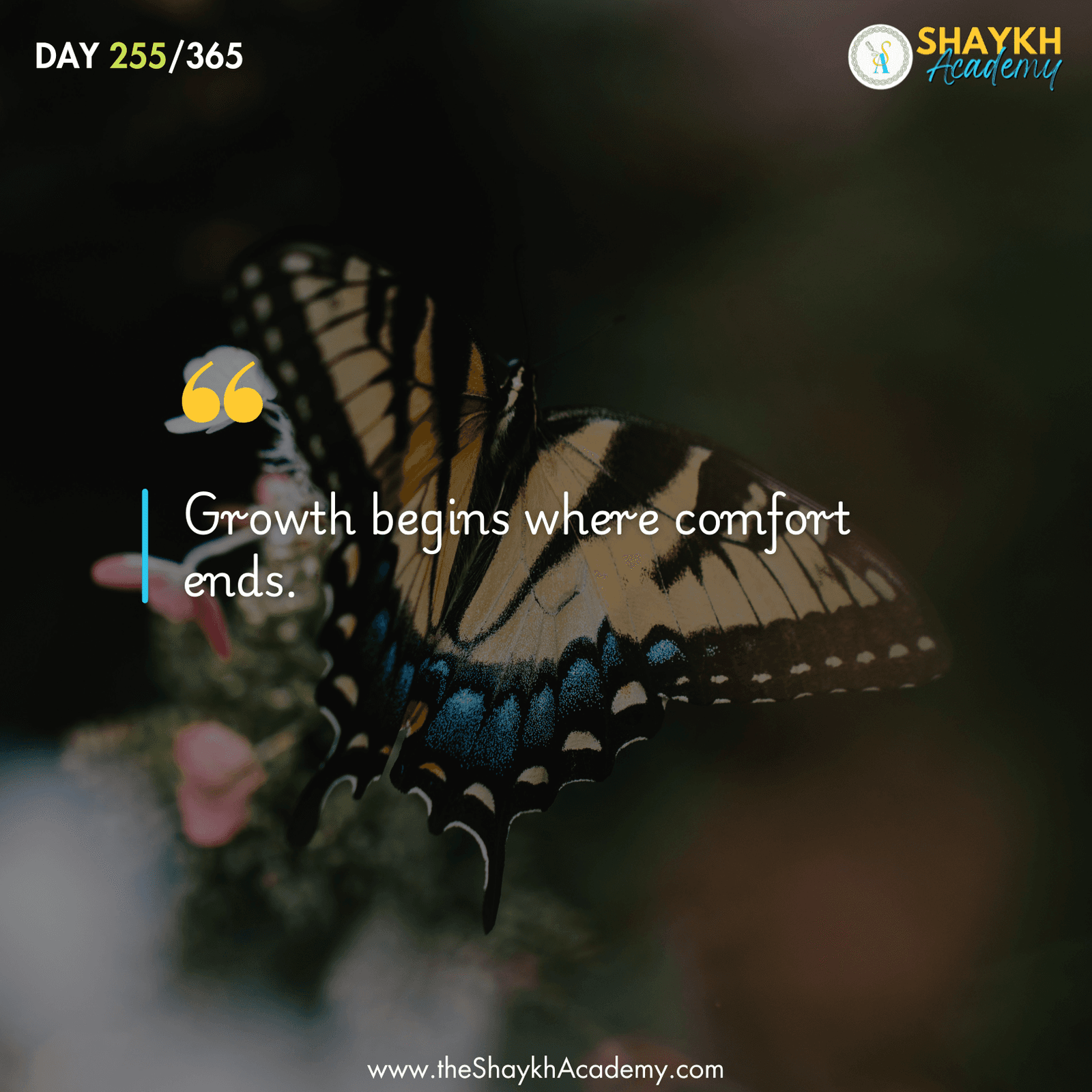 Growth begins where comfort ends.