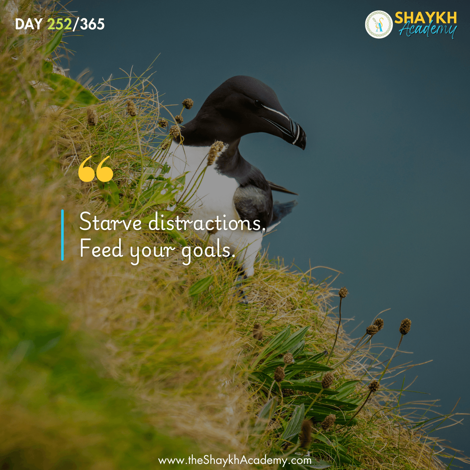 Starve distractions. Feed your goals.