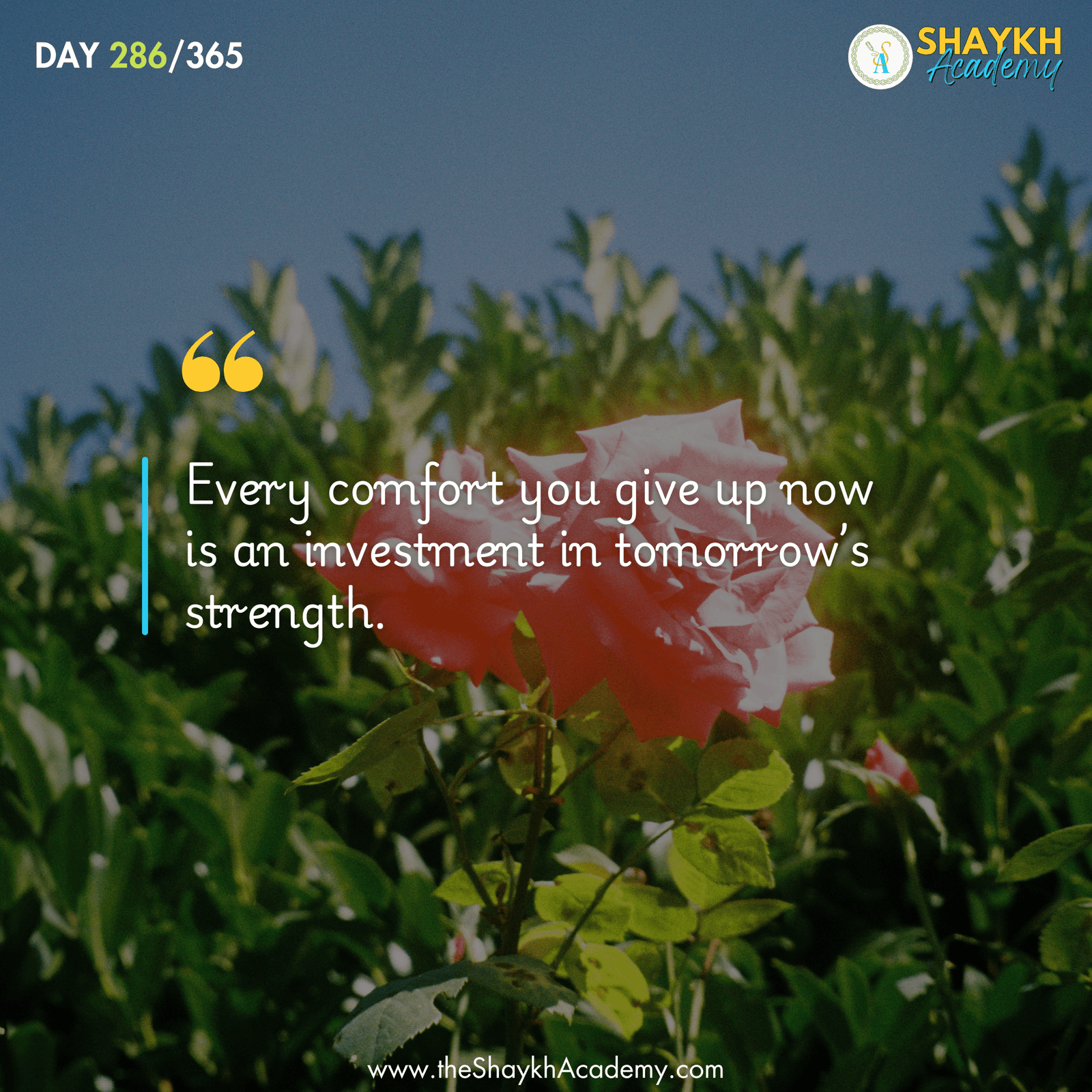 Every comfort you give up now is an investment in tomorrow’s strength.