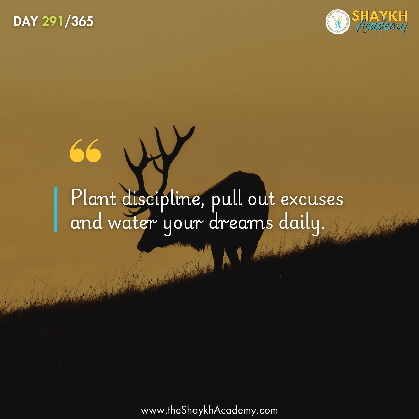 Plant discipline, pull out excuses and water your dreams daily.