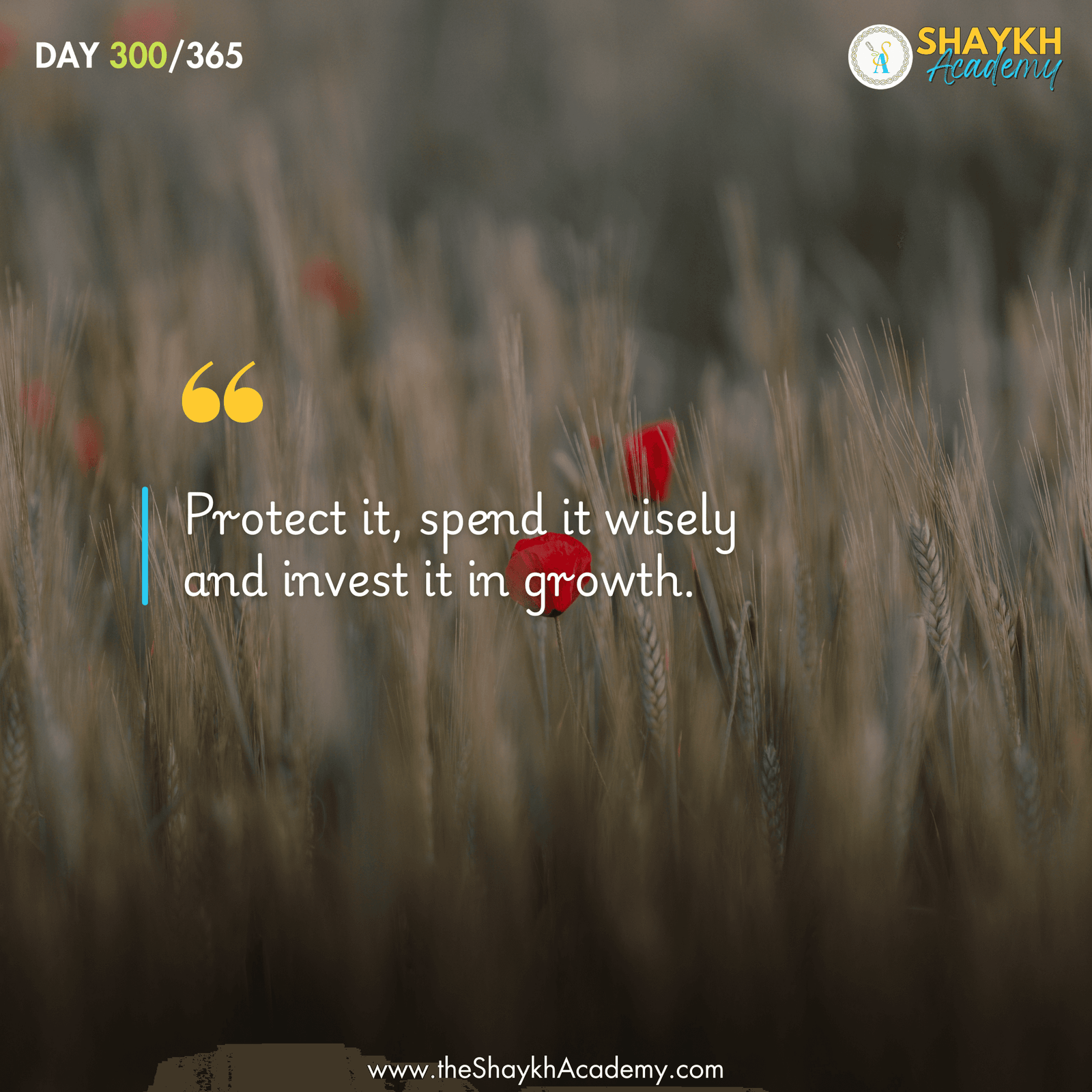 Protect it, spend it wisely and invest it in growth.