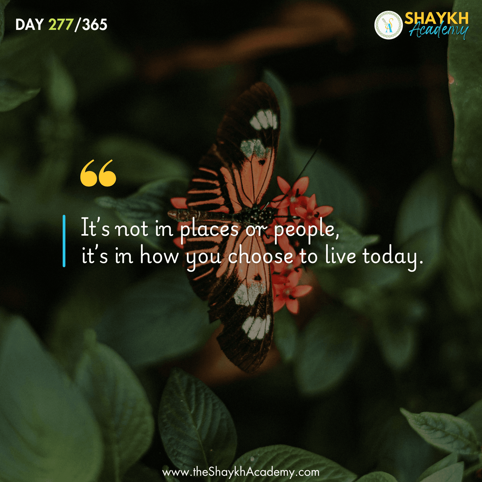 It’s not in places or people, it’s in how you choose to live today.