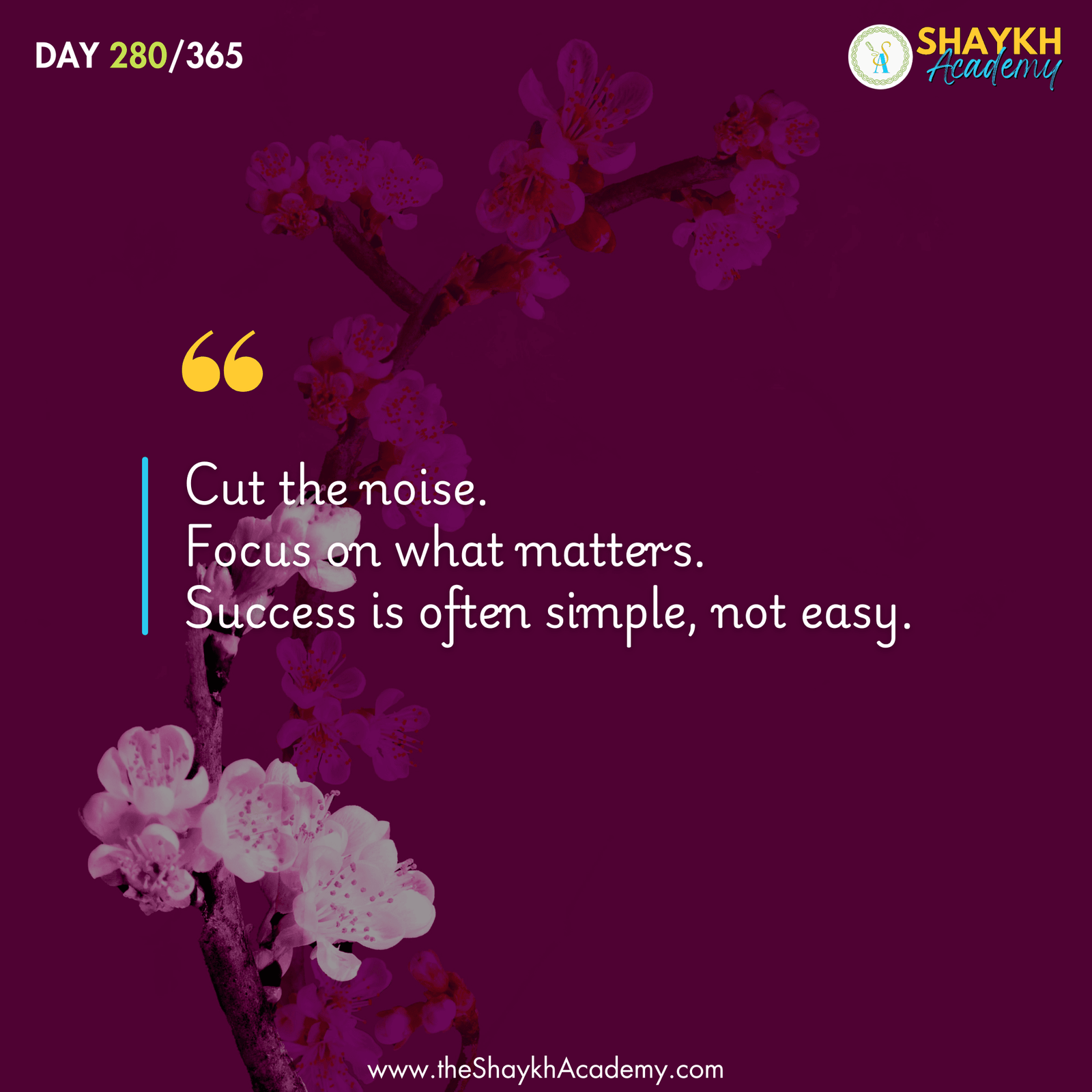 Cut the noise. Focus on what matters. Success is often simple, not easy.