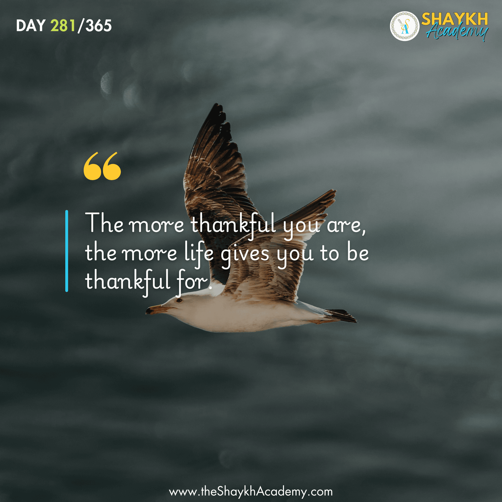 The more thankful you are, the more life gives you to be thankful for.