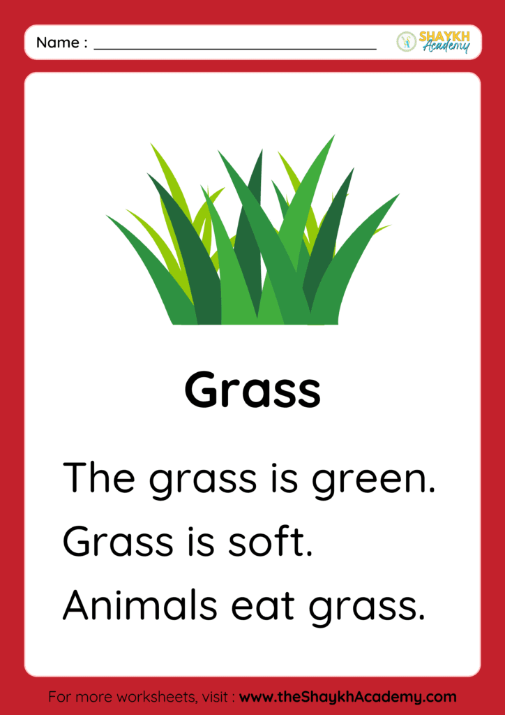 Grass
