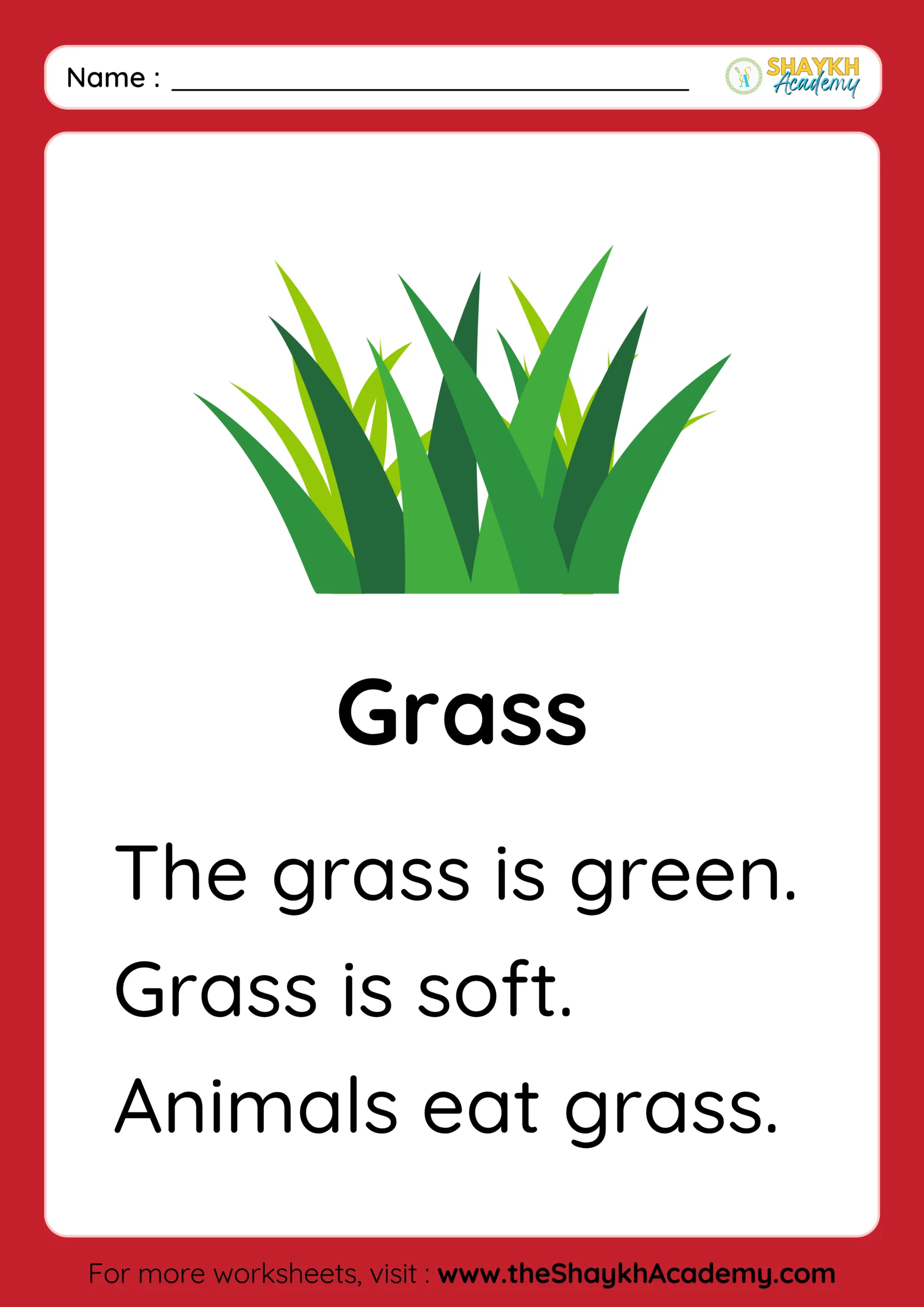 Grass