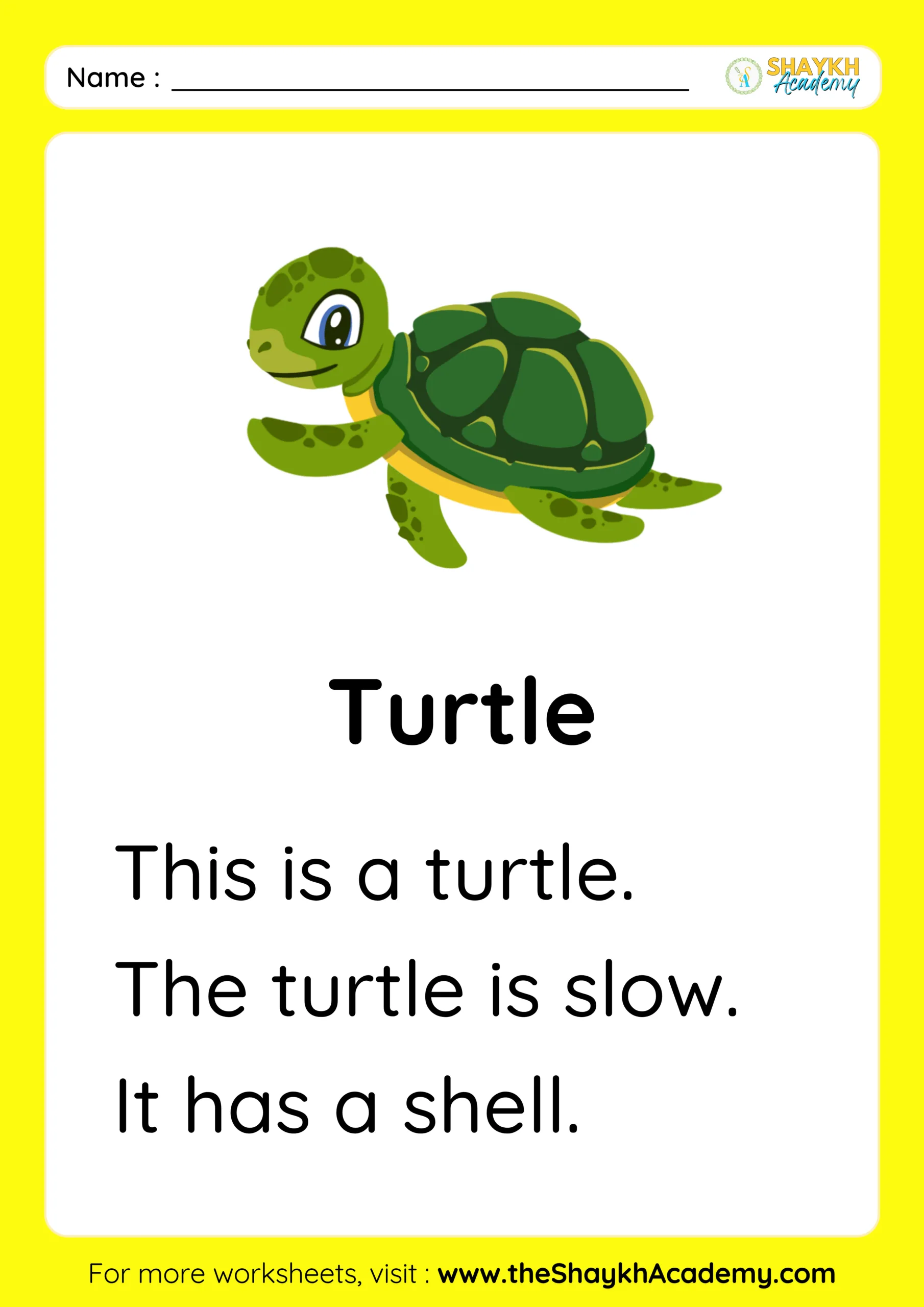 Turtle